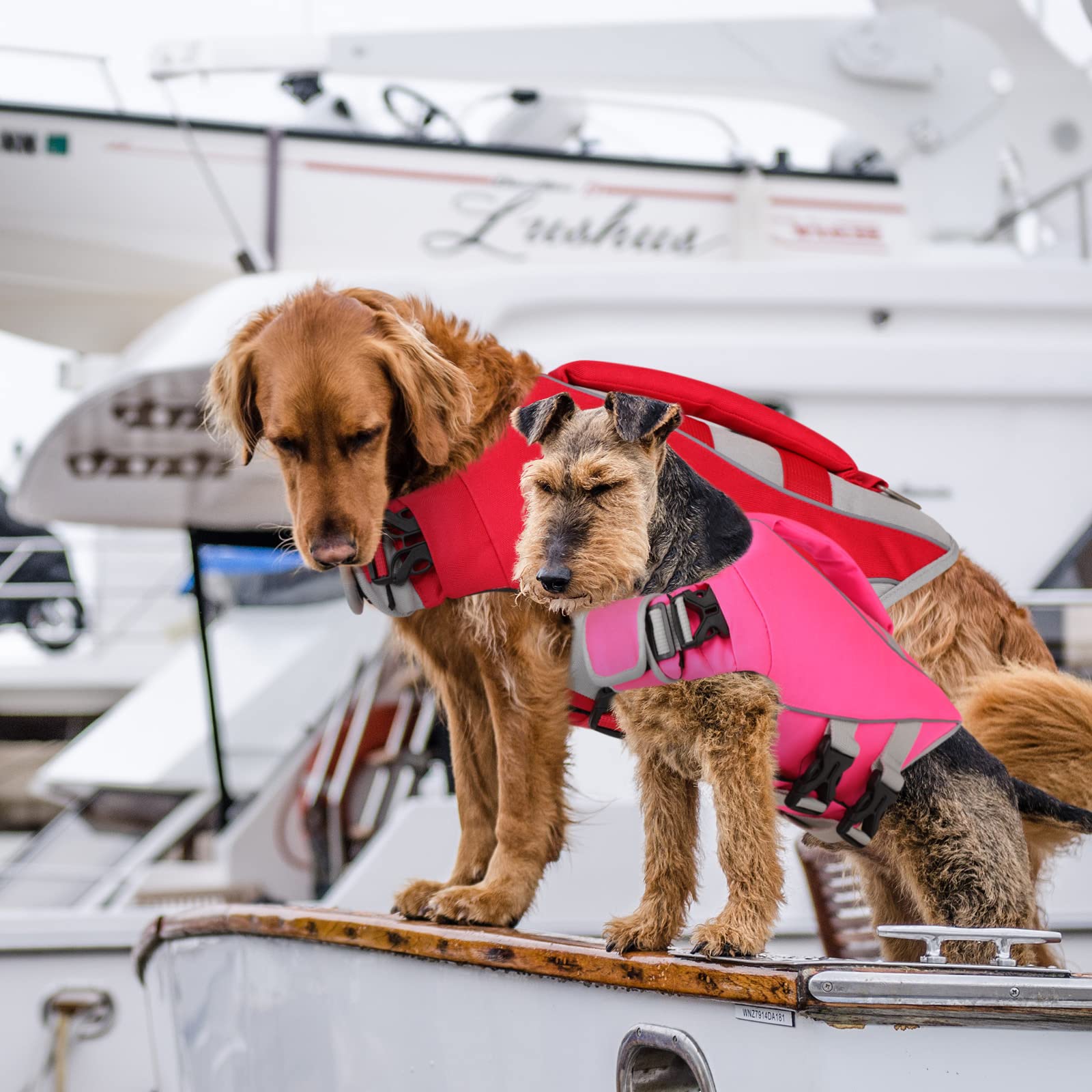 Queenmore Dog Life Jacket - Adjustable Reflective Swimming Vest for Small, Medium & Large Dogs | High Buoyancy Pet Life Preserver & Lifesaver | Perfect for Boating, Swimming & Water Safety (Red, Small)