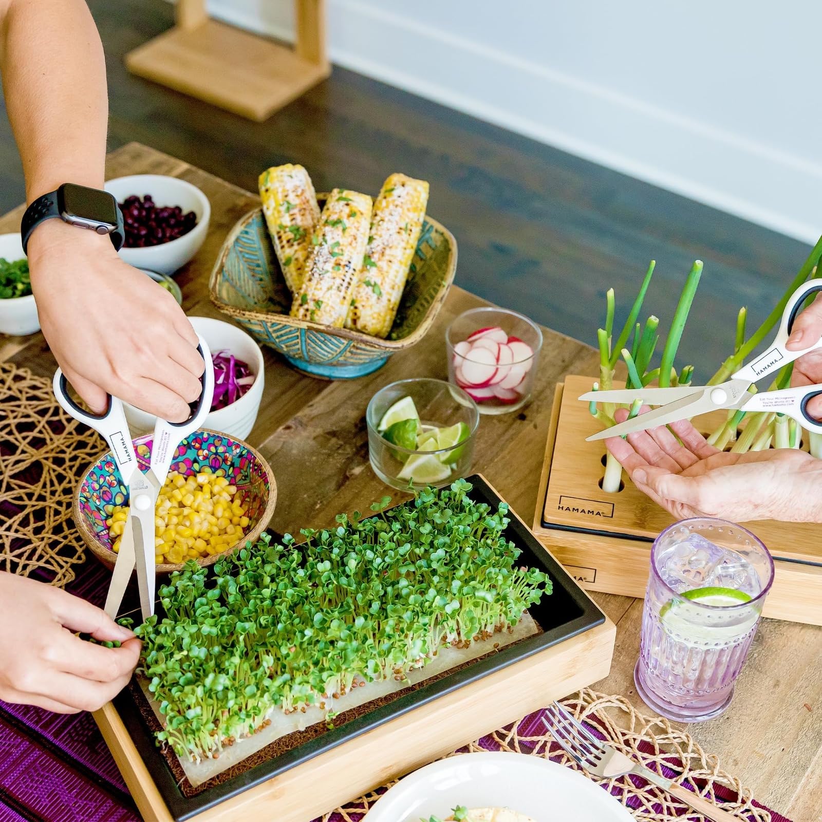 Organic HAMAMA Microgreens Growing Kit - Includes Kale, Broccoli & Salad Greens - Indoor Sprouting System with Seed Quilts & Ceramic Tray - Easy Setup for Home Gardening (Pack of 3) - Perfect for Salads, Smoothies & Healthy Eating