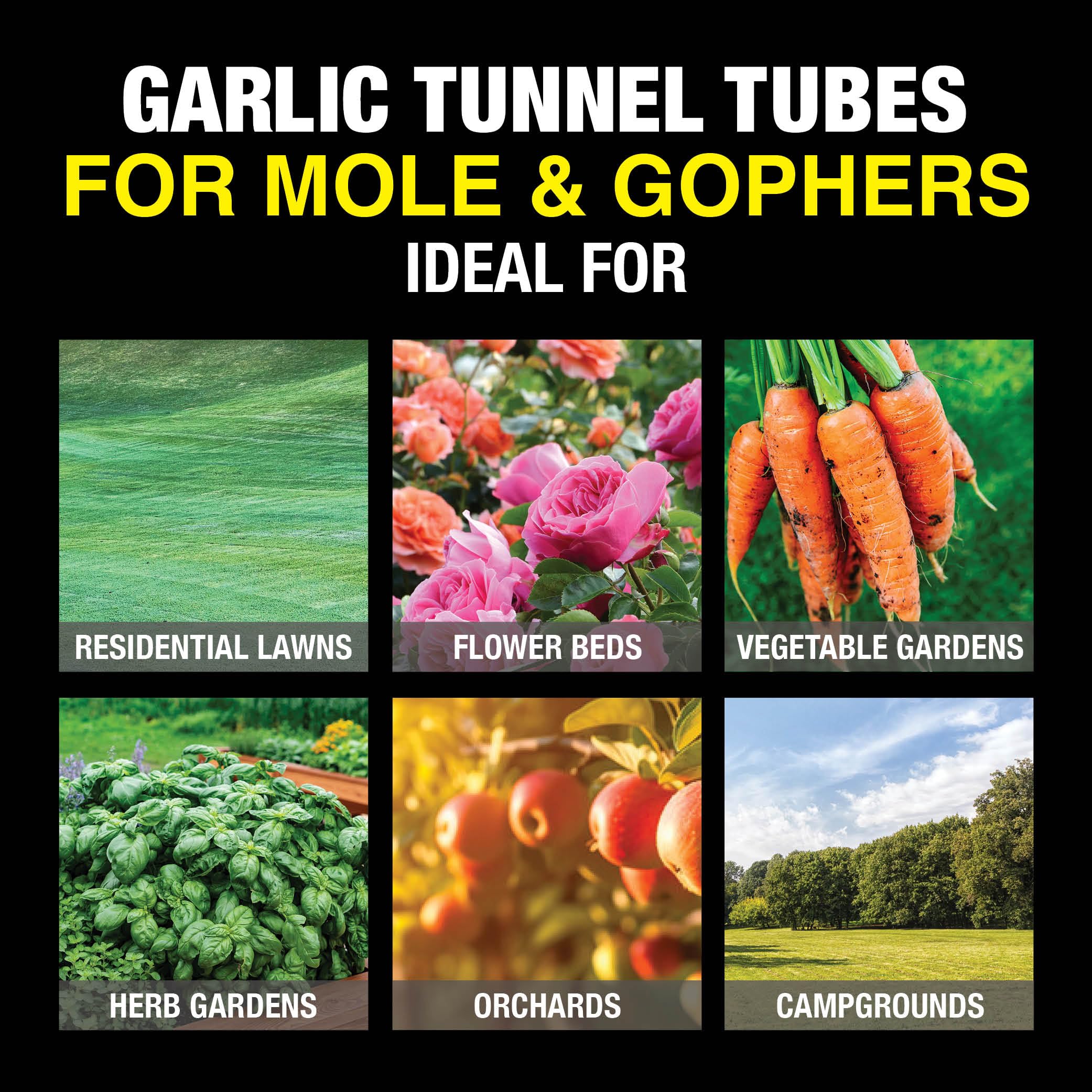 **Natural Garlic Tunnel Tubes for Mole & Gopher Control - Long-Lasting 10-12 Month Protection with Highly Concentrated Garlic Oil (120 Tubes) - Repels Moles, Gophers, Skunks & Rodents in Yards, Gardens & Lawns**    *(Perfect for Organic Pest Control in Flower Beds, Vegetable Gardens & Landscaped Areas)*