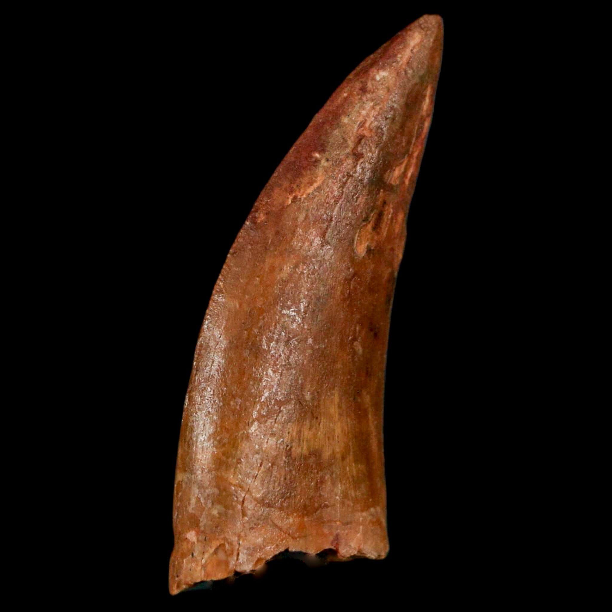 1.6