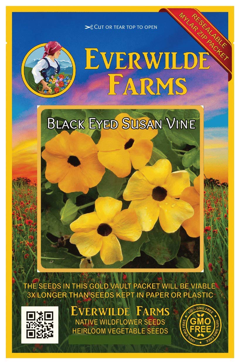 Everwilde Farms - 1 Oz Black-Eyed Susan Vine Wildflower Seeds - Gold Vault Pack - Perfect for Garden Borders, Trellises & Butterfly Gardens