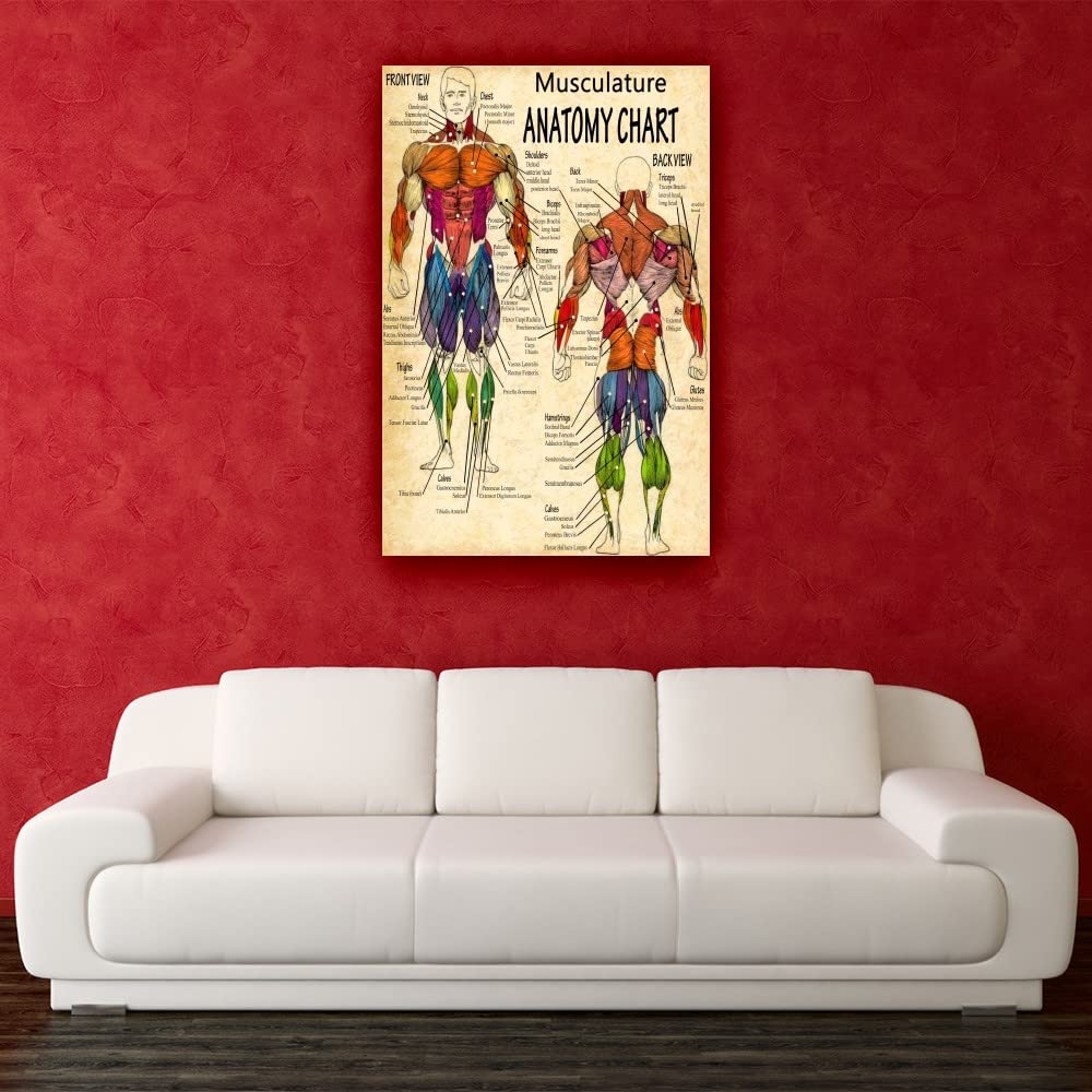 Human Anatomy Wall Art - Detailed Body Muscle Chart Poster, Giclee Printed Canvas Painting (24x36 Inches / 60x90 cm, Framed) - Perfect for Medical Offices, Classroom Decor, Home Study Room & Bathroom Wall Art