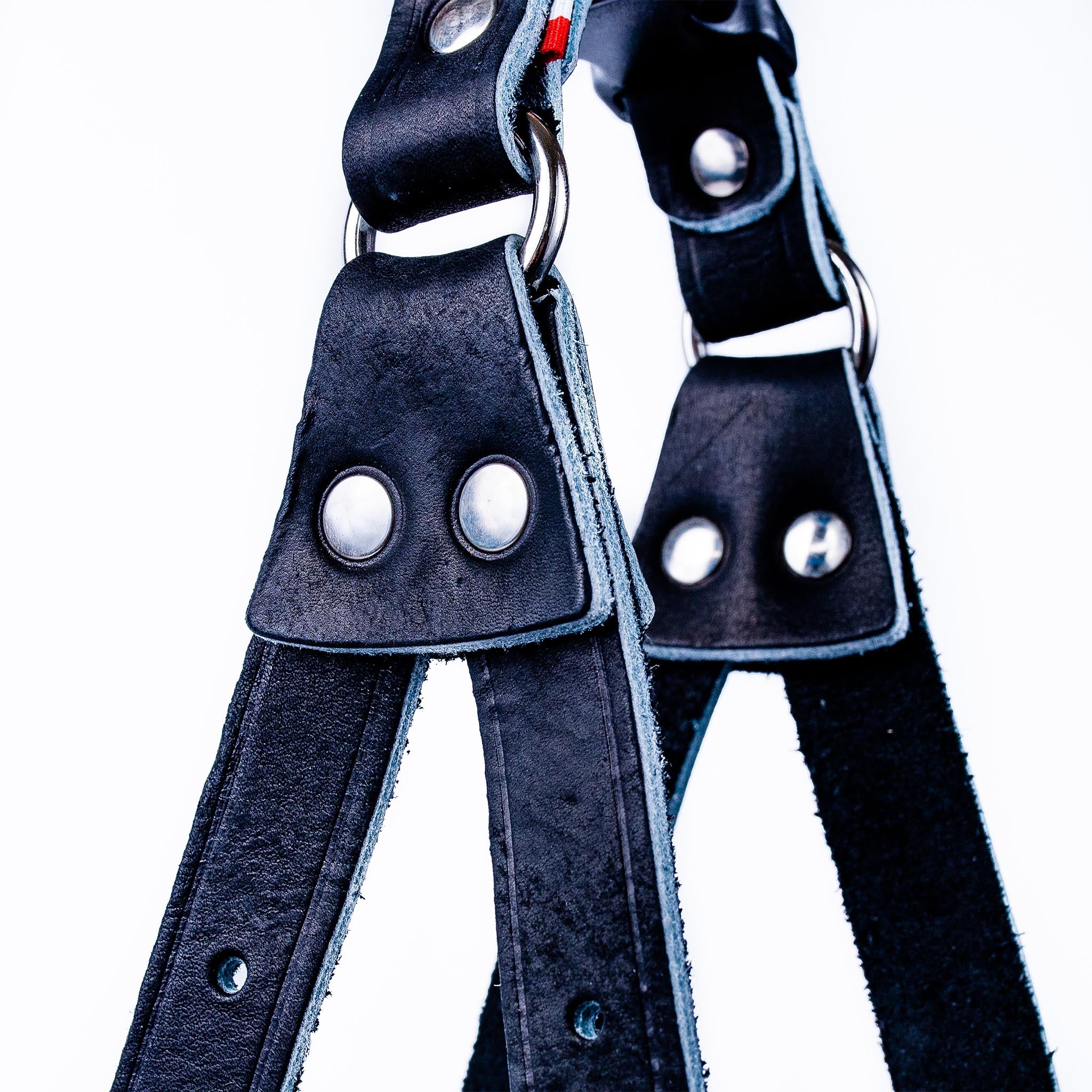 Premium European Step-In Buffalo Leather Dog Harness – Durable, Adjustable & Comfortable for Small to Medium Dogs – Perfect for Walking, Training & Outdoor Adventures