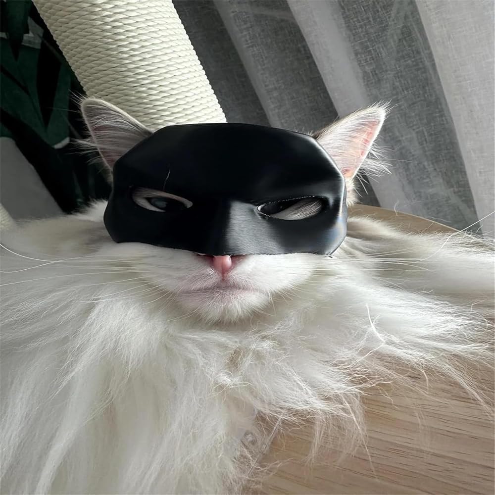 Cat Bat Mask for Cosplay - Funny Halloween Cat Costume Accessories for Kids & Adults (Small Size) - Perfect for Halloween Parties, Cosplay Events & Themed Costume Contests