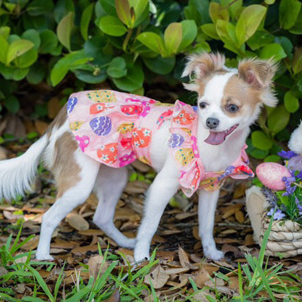 Easter Egg Pink Dress for Women - Floral Spring Party Dress - Perfect for Easter, Spring Celebrations & Special Occasions