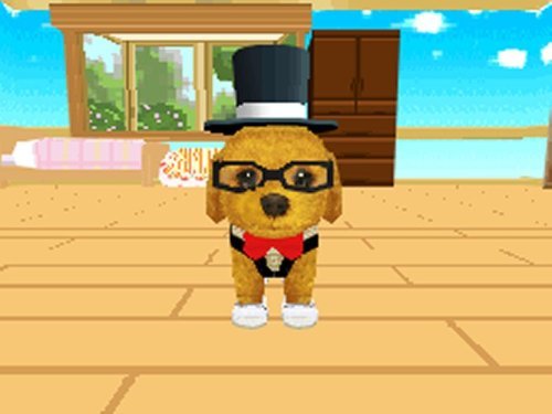 Petz Dogz Fashion - Nintendo DS Game (Renewed) | Virtual Pet Simulation for Kids | Fun Animal Care & Styling Game for Family Game Night