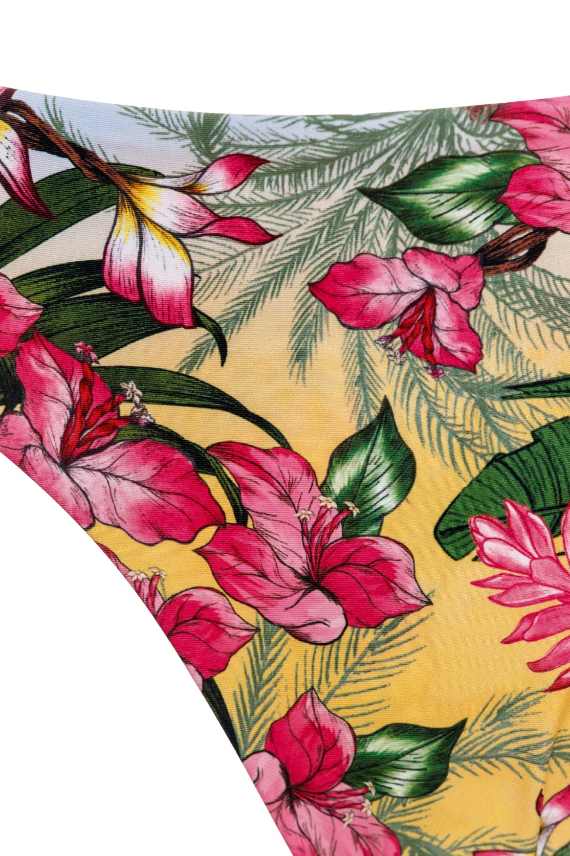 Ilu Bikini Bottom - Women's Sexy High Waisted Swimwear for Beach & Pool - Perfect for Summer Vacations, Tropical Getaways, and Swim Parties