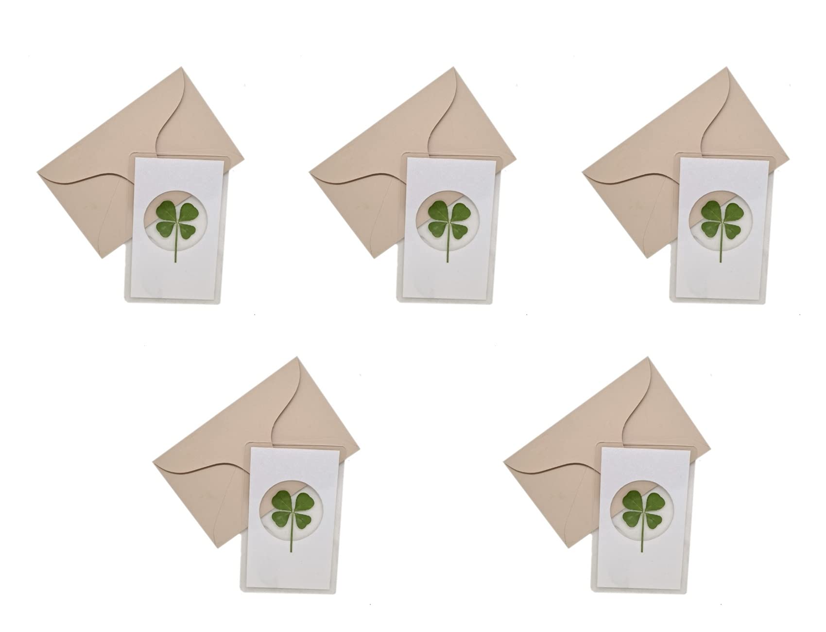 Authentic Four-Leaf Clover 5-Pack - Genuine Pressed Shamrock Good Luck Charms for St. Patrick's Day Decorations, Wedding Favors, Bookmark Gifts & Phone Case Accessories (White, Set of 5) - Perfect for Irish-Themed Parties, Anniversary Celebrations & Everyday Fortune