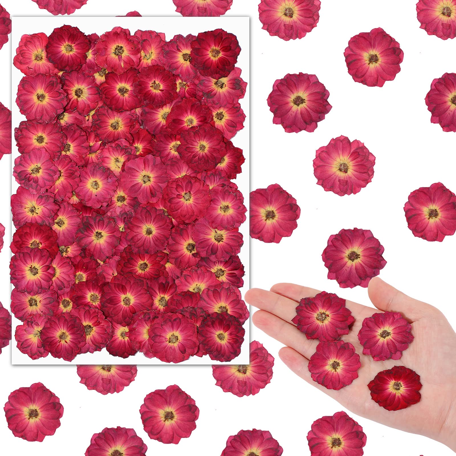 100 Pcs Dried Pressed Flowers - Natural Real Small Dry Flowers for Resin Crafts, Candle Making, Scrapbooking, Jewelry DIY & Home Decor (Red) - Perfect for Wedding Invitations, Soap Making & Art Projects