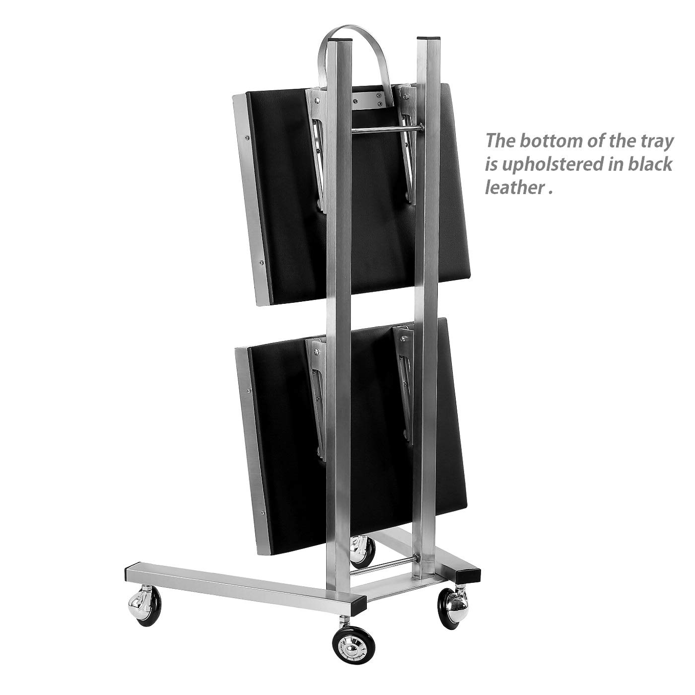 Kaleurrier Rolling Tool Cart with Double Storage Tray - Stainless Steel Utility Trolley with Wheels for Salon, Tattoo, Spa, Clinic & Home Use | Portable Beauty & Medical Instrument Stand (Silver) | Perfect for Organizing Tools in Professional Studios or Home Workspaces