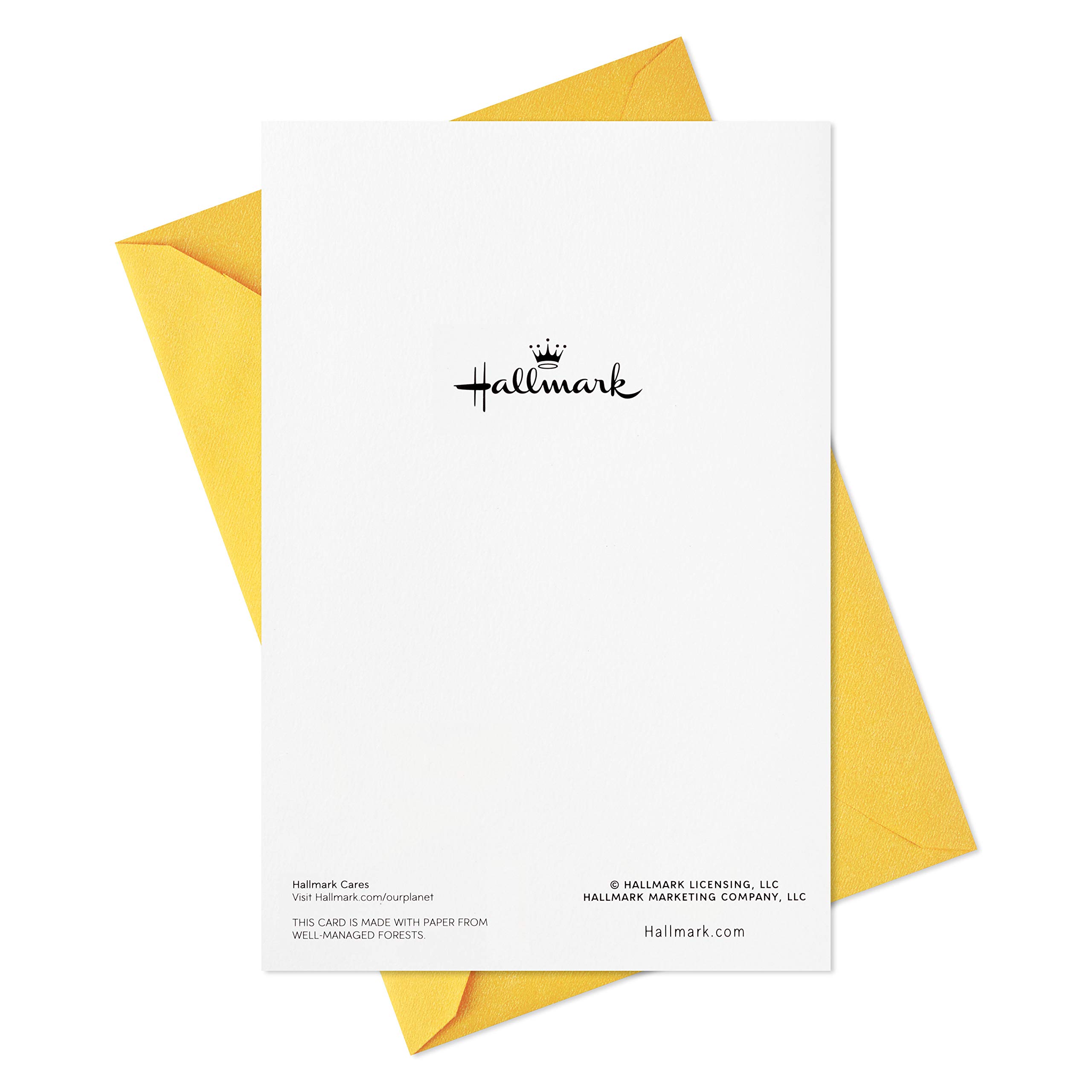 Hallmark Easter Greeting Cards Assortment - 8 Fuzzy Wishes Spring Cards with Envelopes for Easter Celebrations, Family Gatherings & Church Events