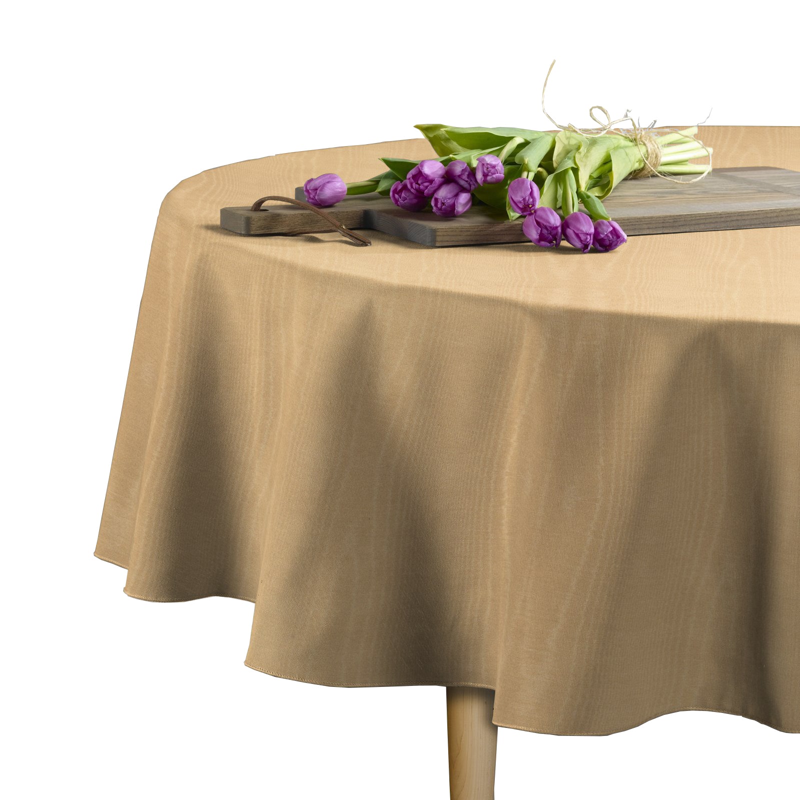 Cornsilk
