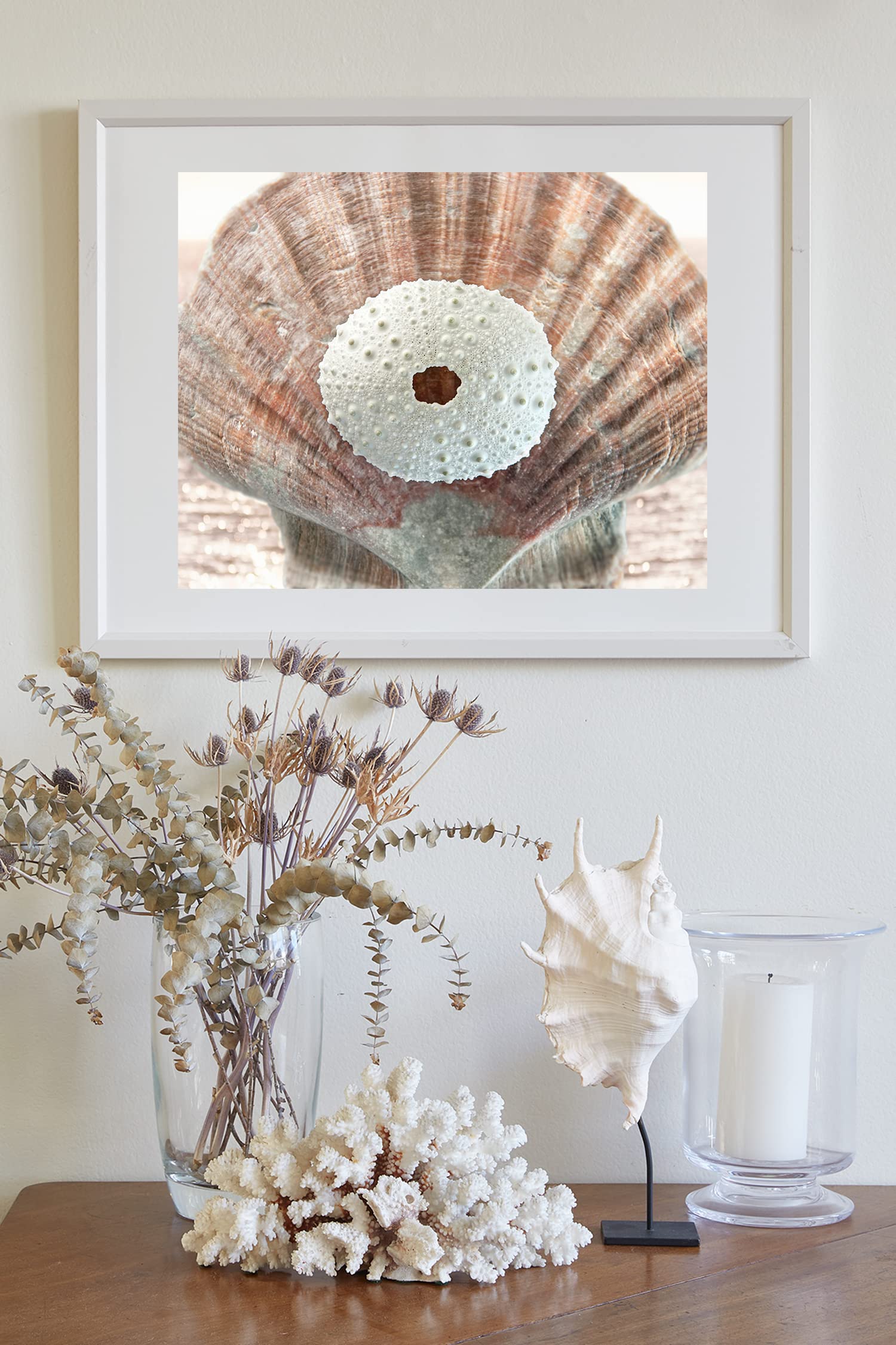 Surreal Seashell Art Print - Ready to Hang Canvas Wall Decor by Murray Bolesta | Perfect for Beach House, Coastal Living Room & Boho Bedroom Decor