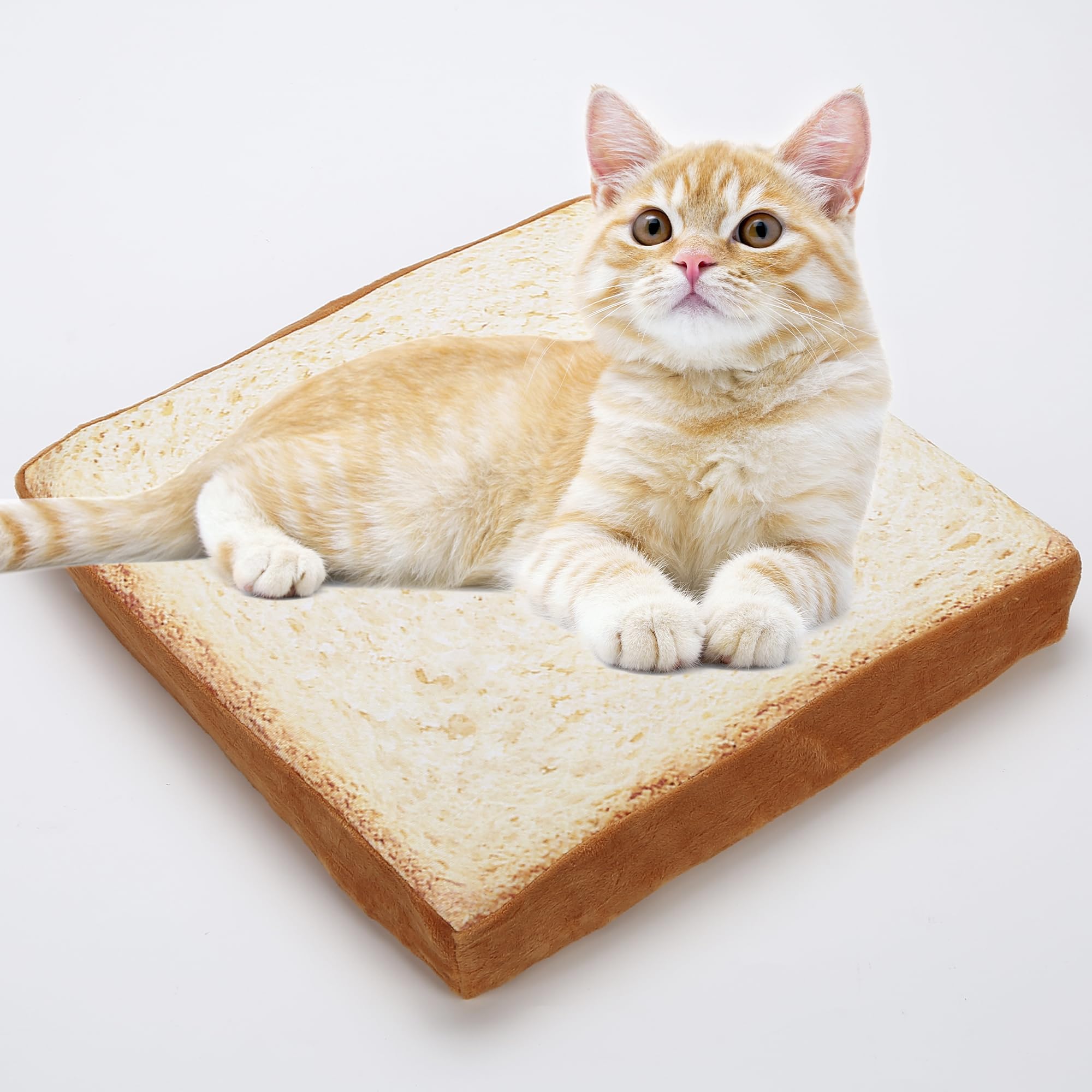 Gefryco Cat Beds for Indoor Cats - Soft Pet Mats & Cushions for Small Dogs & Cats - Creative Toast Bread Slice Design with Sponge Core - Perfect for Cozy Napping & Home Decor