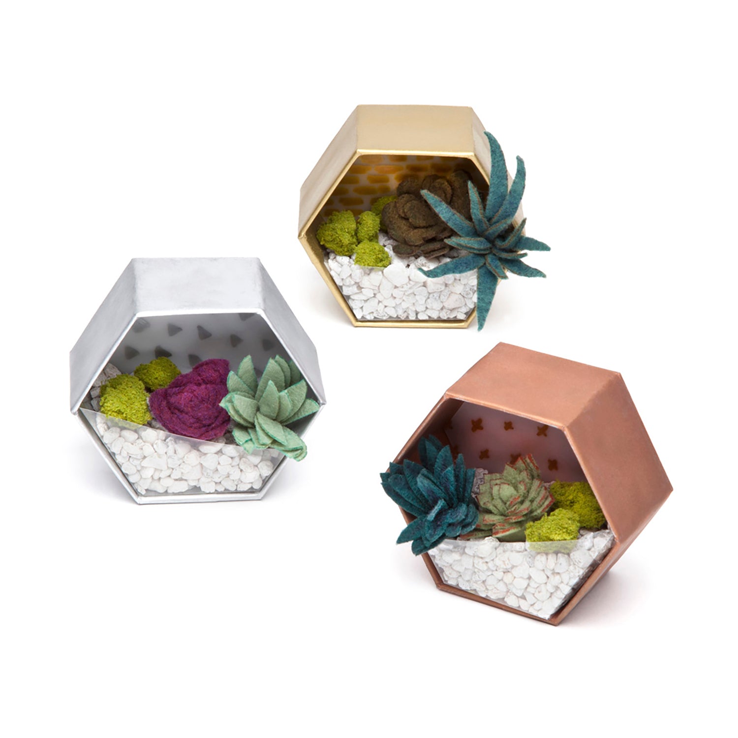 DIY Mini Terrarium Kit - Create Stunning Felt Succulent Displays for Home Decor, Office Desk & Gift Ideas | Craft Crush Terrarium Making Set