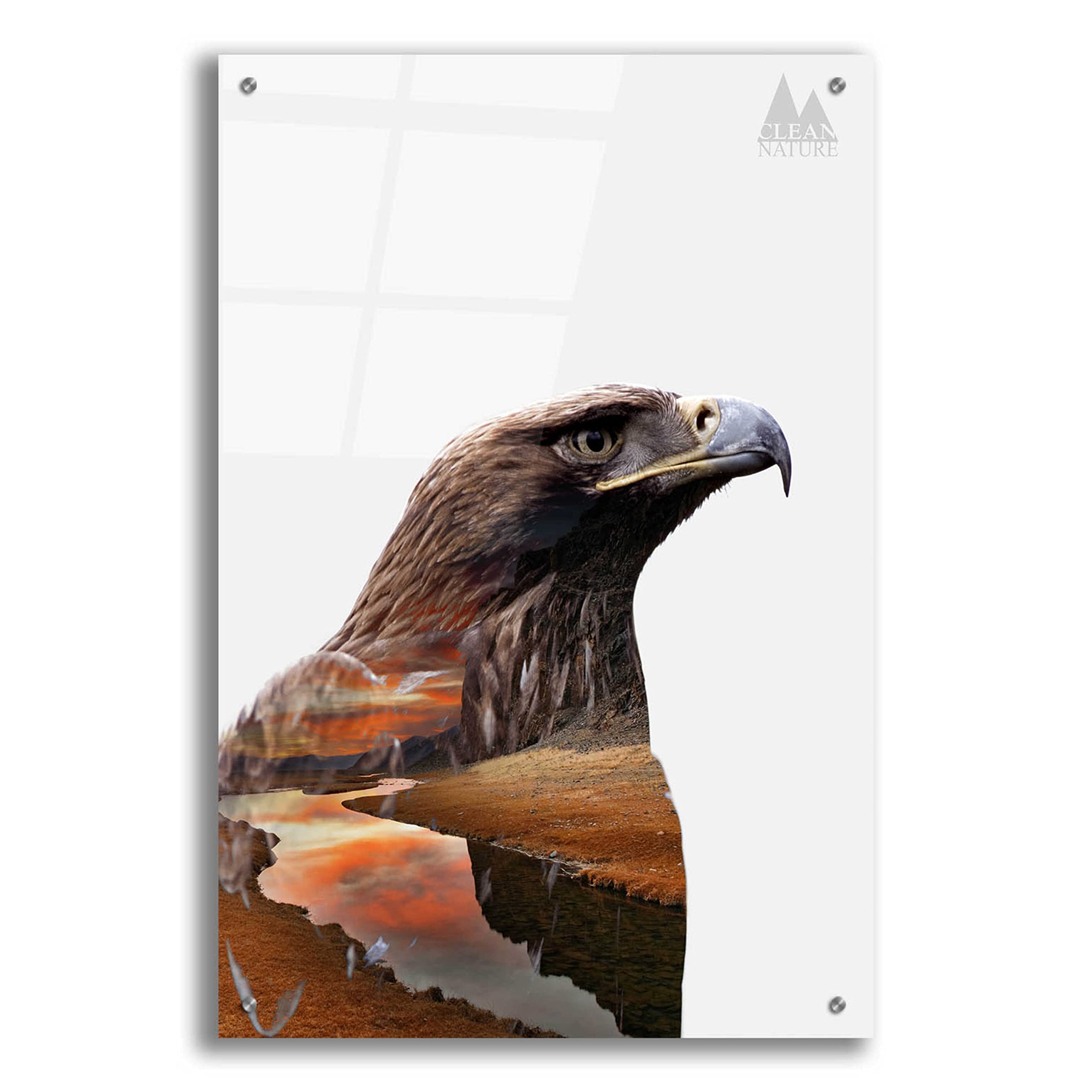Epic Eagle Acrylic Glass Wall Art by Clean Nature - 24x36 Inches, Modern Home Decor for Living Room, Bedroom & Office - Durable & Vibrant Print