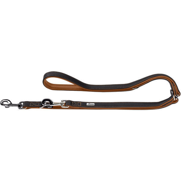 HUNTER UP Adjustable Dog Training Leash - Flat Design for Canadian Pets - Perfect for Obedience Training, Walking & Outdoor Adventures