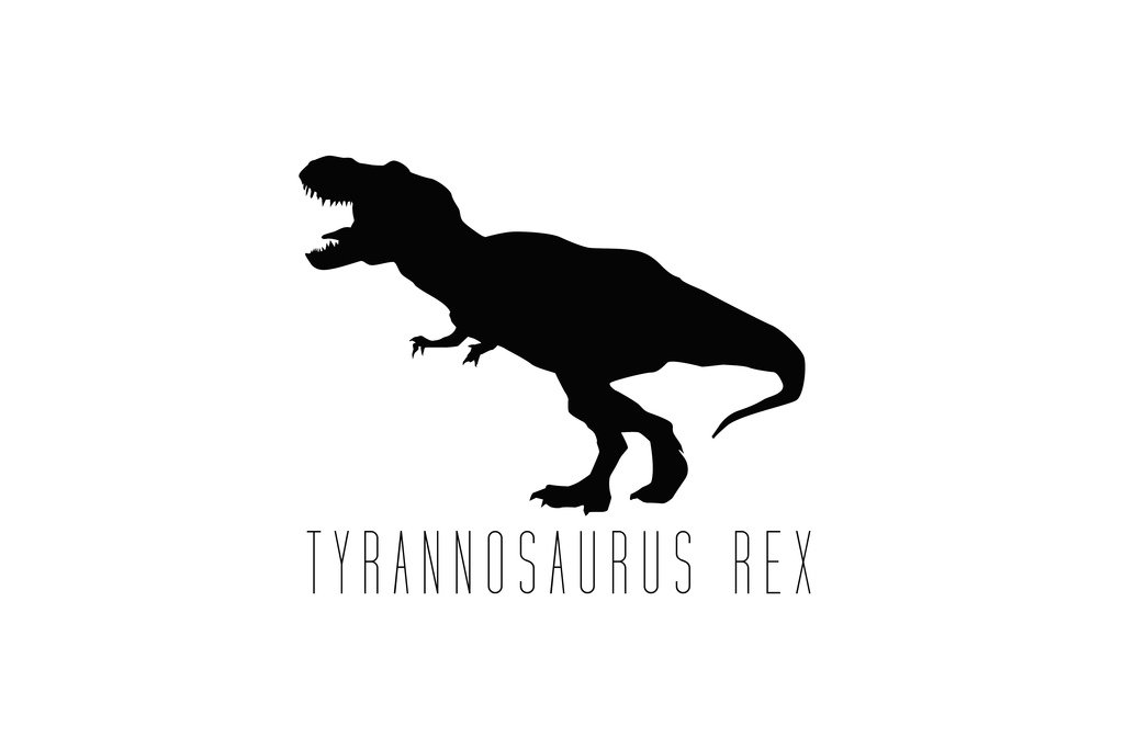 Tyrannosaurus Rex Dinosaur Poster - 18x12 Inch White Dino Wall Art for Kids Room Decor, Cool Dinosaur Pictures for Bedroom Walls | Perfect for Boys' Rooms, Playrooms & Dinosaur Themed Nurseries