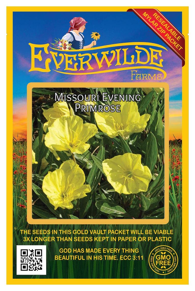 Everwilde Farms - 400 Missouri Evening Primrose Native Wildflower Seeds - Gold Vault Jumbo Seed Packet for Garden Landscaping & Pollinator Gardens