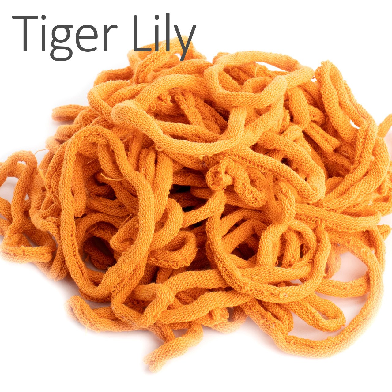 Tiger Lily