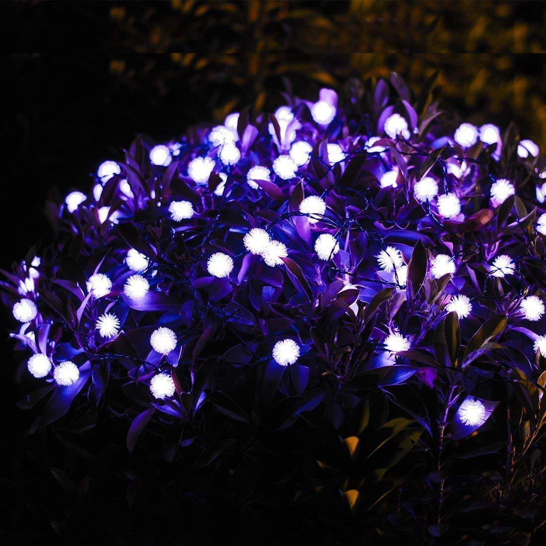 20FT 30LED Solar Powered Dandelion Ball String Lights - Waterproof Outdoor Fairy Lights for Garden, Patio, Camping, Christmas & Wedding Decor (Purple) | Perfect for Backyard Parties & Romantic Ambiance
