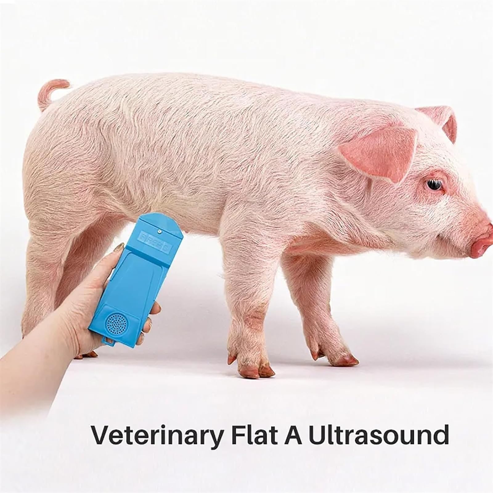 **Sangeuhhlk Portable Pig Ultrasound Machine - 360° Waterproof Probe, 5S Rapid Detection & Sound Alert for Sow Pregnancy Testing - High Accuracy Livestock Ultrasound Scanner for Swine Farms & Veterinary Clinics**