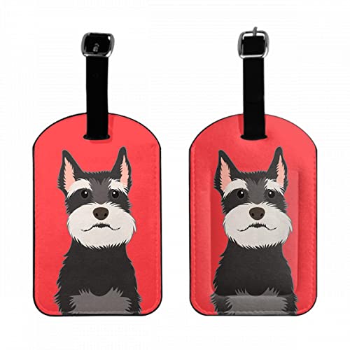 Schnauzer