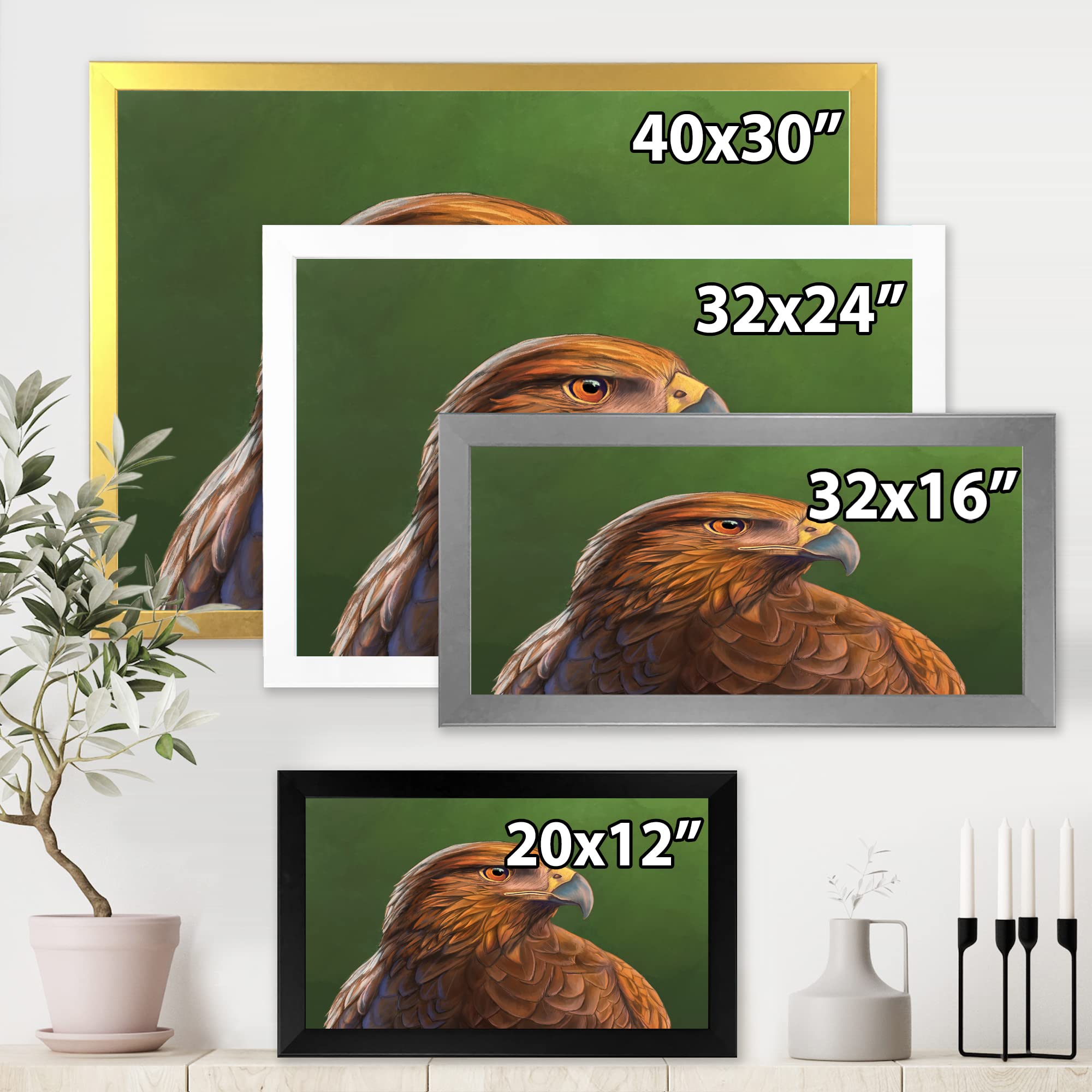 Harris Hawk Bird Portrait - Traditional Framed Wall Art Decor for Living Room, Office & Bedroom