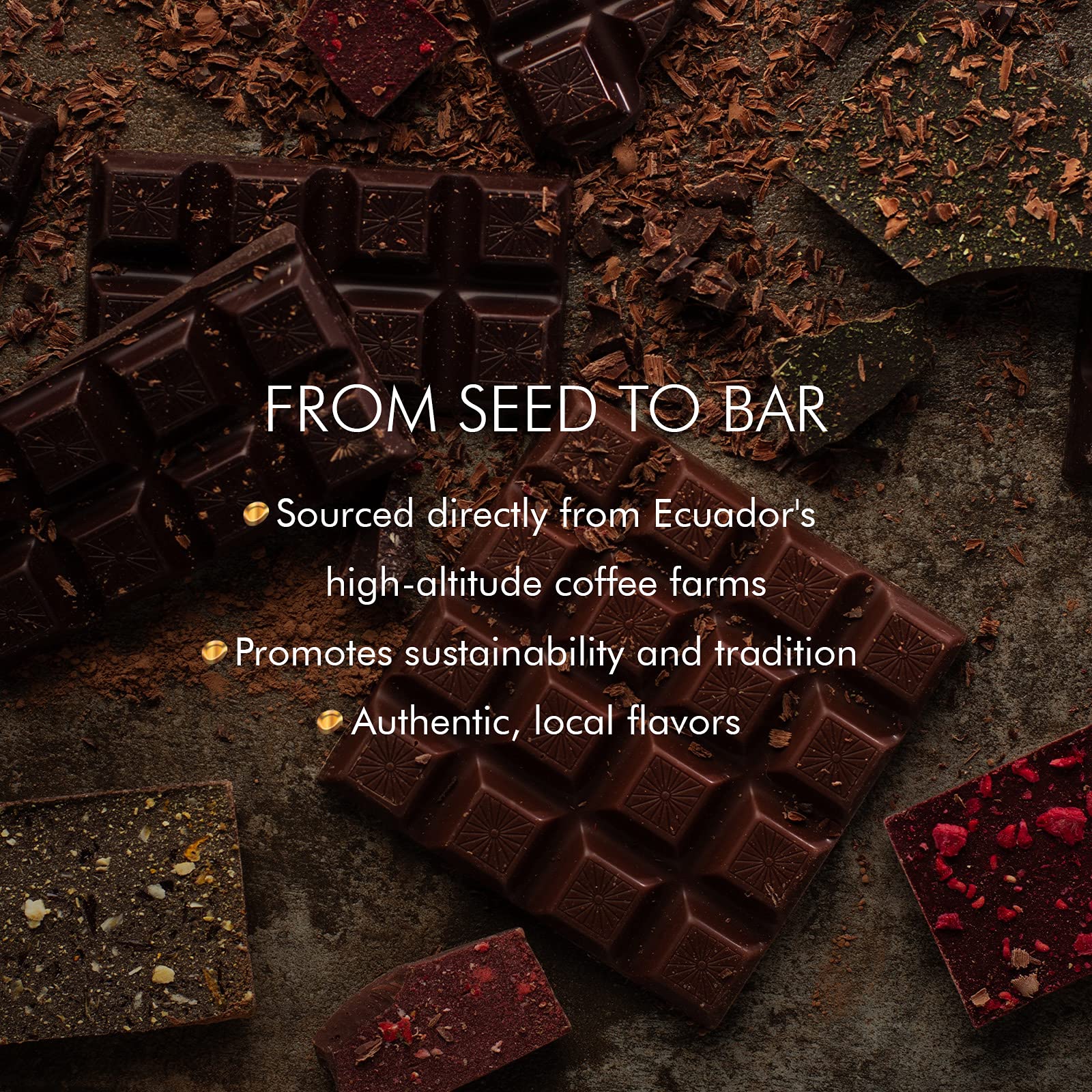 Mayta Gourmet Dark Chocolate Bars 70% Cacao with Exotic Fruits & Basil - Premium Ecuadorian Fine Aroma Cocoa - 12 Pack (600g) - Perfect for Gifts, Dessert Pairing & Gourmet Snacking