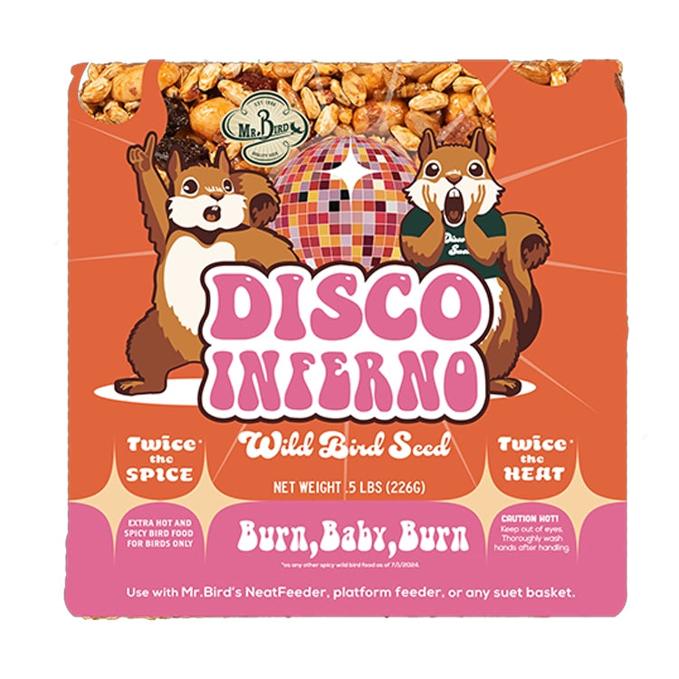 Disco Inferno Small Cake - Fun & Colorful Party Dessert for Birthdays, Celebrations & Themed Events