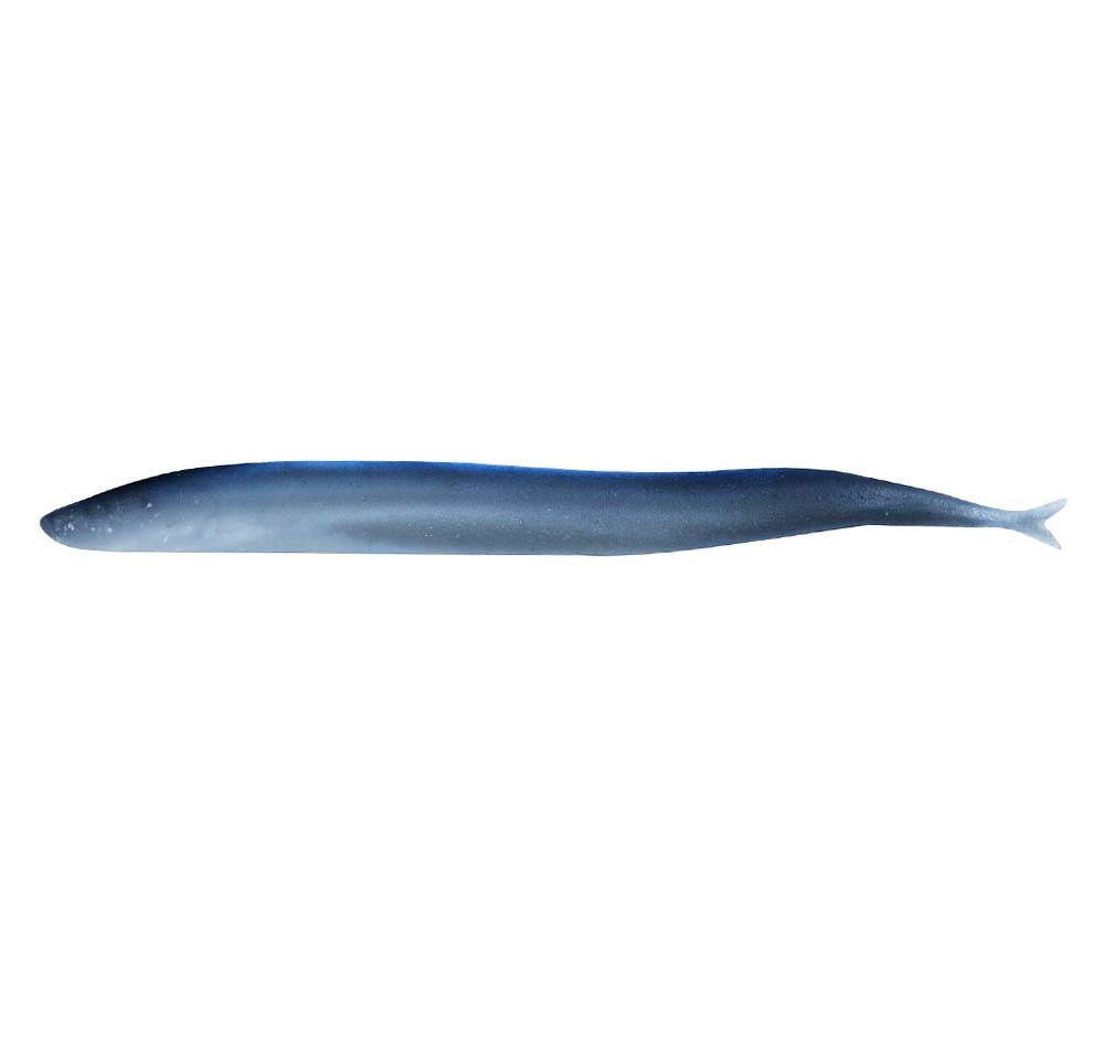 Berkley Gulp Sand Eel 4
