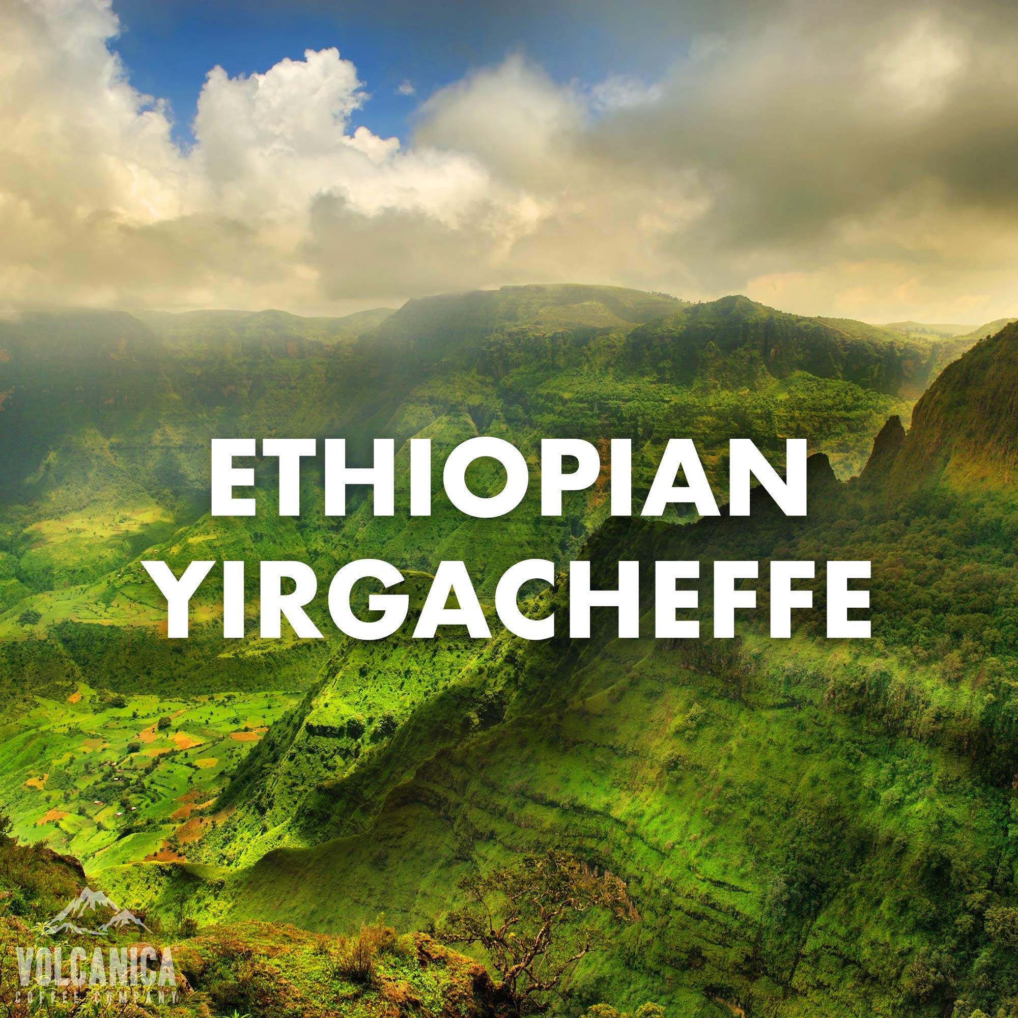 Premium Ethiopian Yirgacheffe Whole Bean Coffee - USDA Organic, Fresh Roasted, Kosher Certified - 5 lb Bag for Home Brewing & Office Use