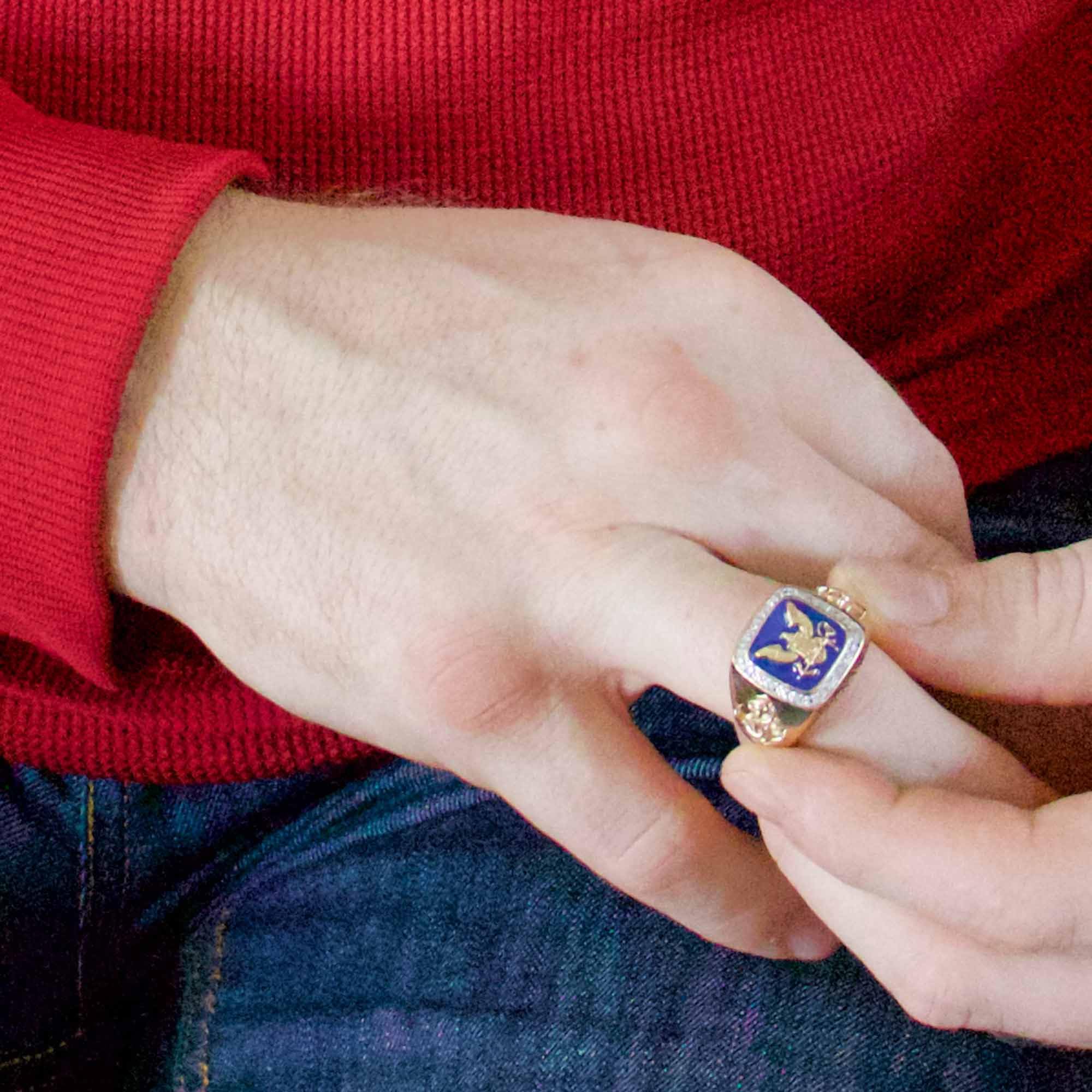 Danbury Mint Personalized US Military Ring for Air Force - Size 10 (Model #1660-0041) | Custom Engraved Gift for Veterans, Active Duty Service Members & Military Appreciation