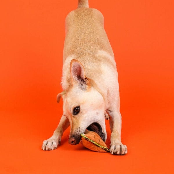 Outward Hound Xtreme Seamz Small Dog Toy - Durable Chew Toy for Small Dogs, Interactive Play & Training - Perfect for Indoor & Outdoor Use