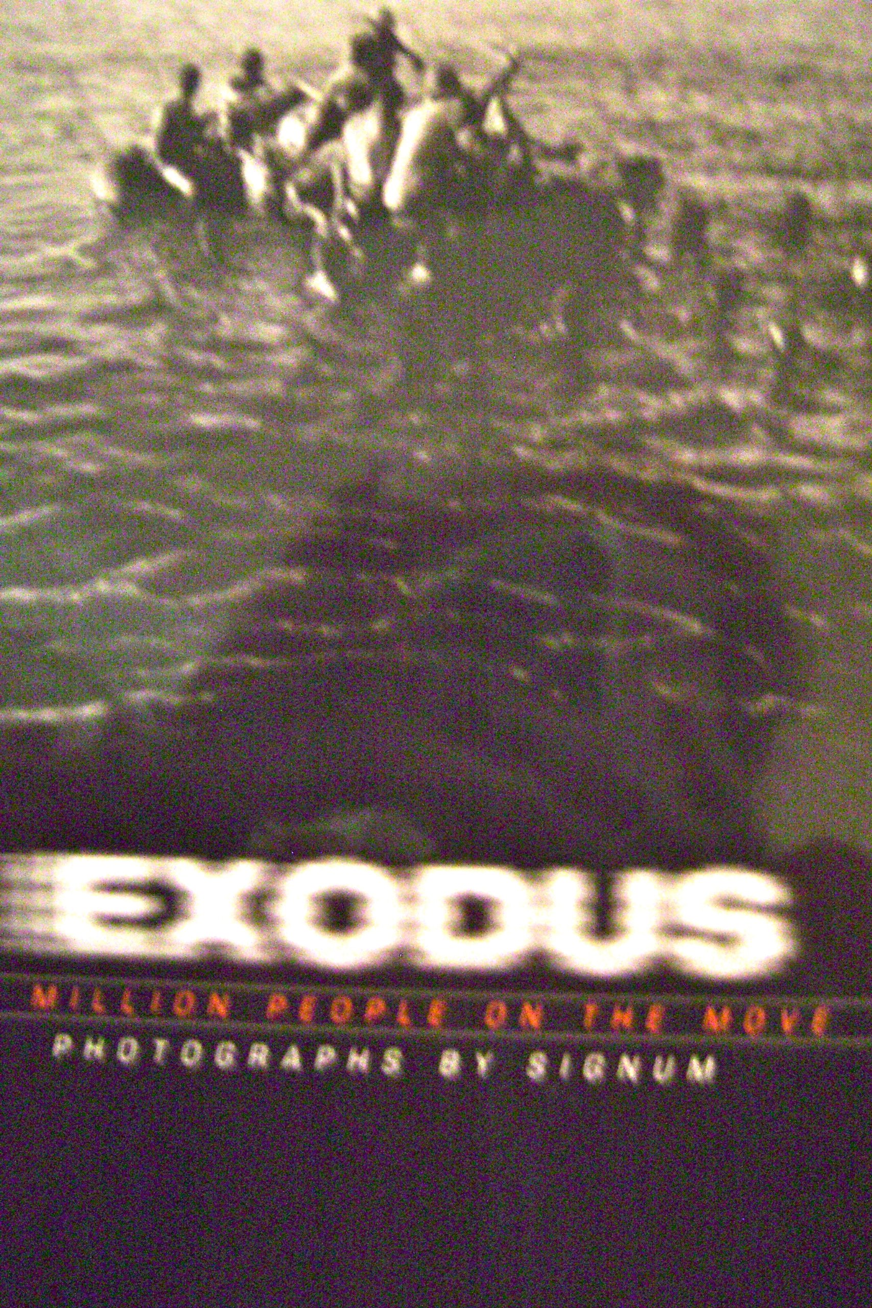Exodus: 50 Million People on the Move - Global Migration Crisis & Refugee Stories | History, Causes & Solutions for Displaced Populations