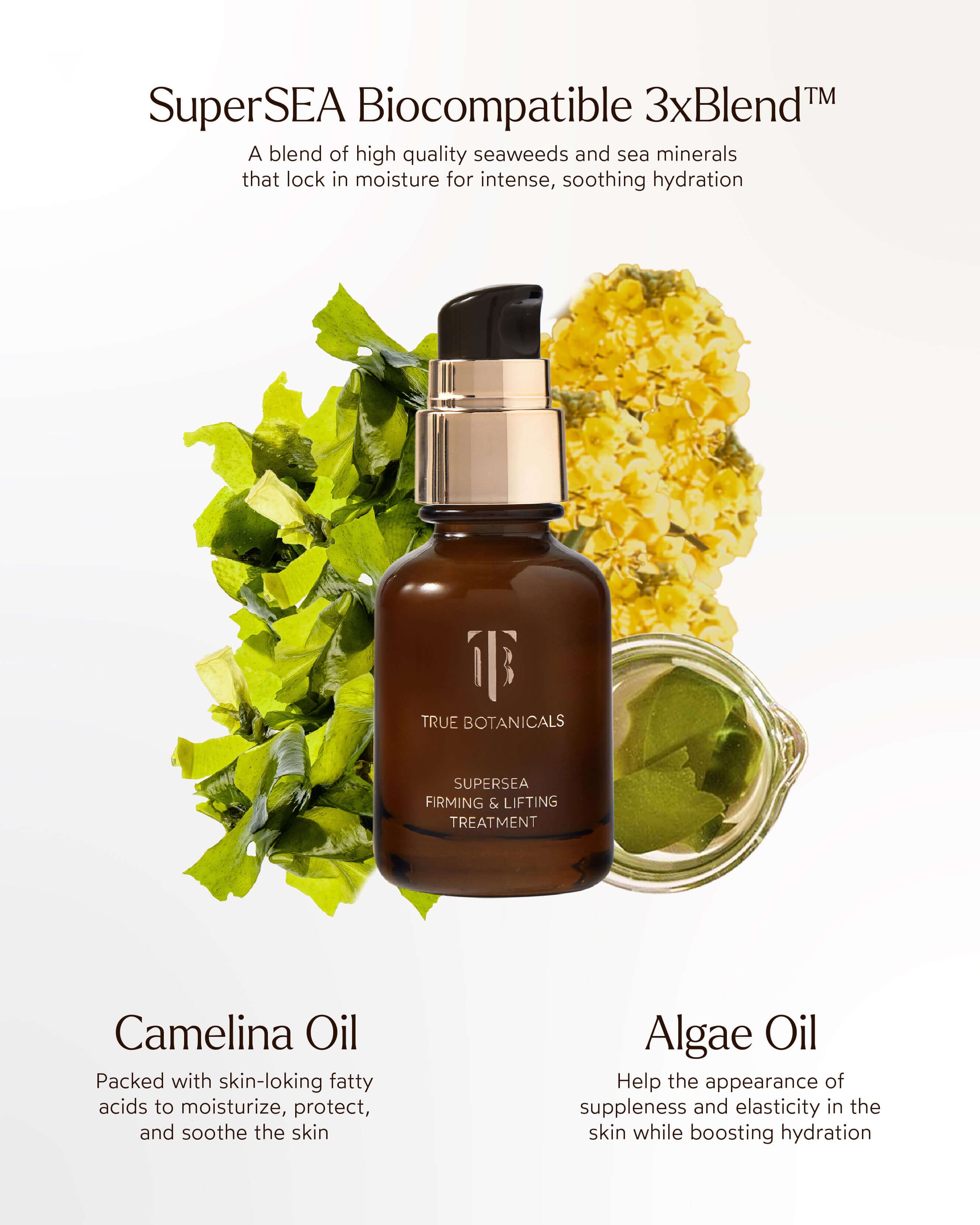 SuperSEA Firming & Lifting Serum for Face - Anti-Aging & Hydrating Facial Treatment - Perfect for Night Skincare Routine & Daily Moisturizing