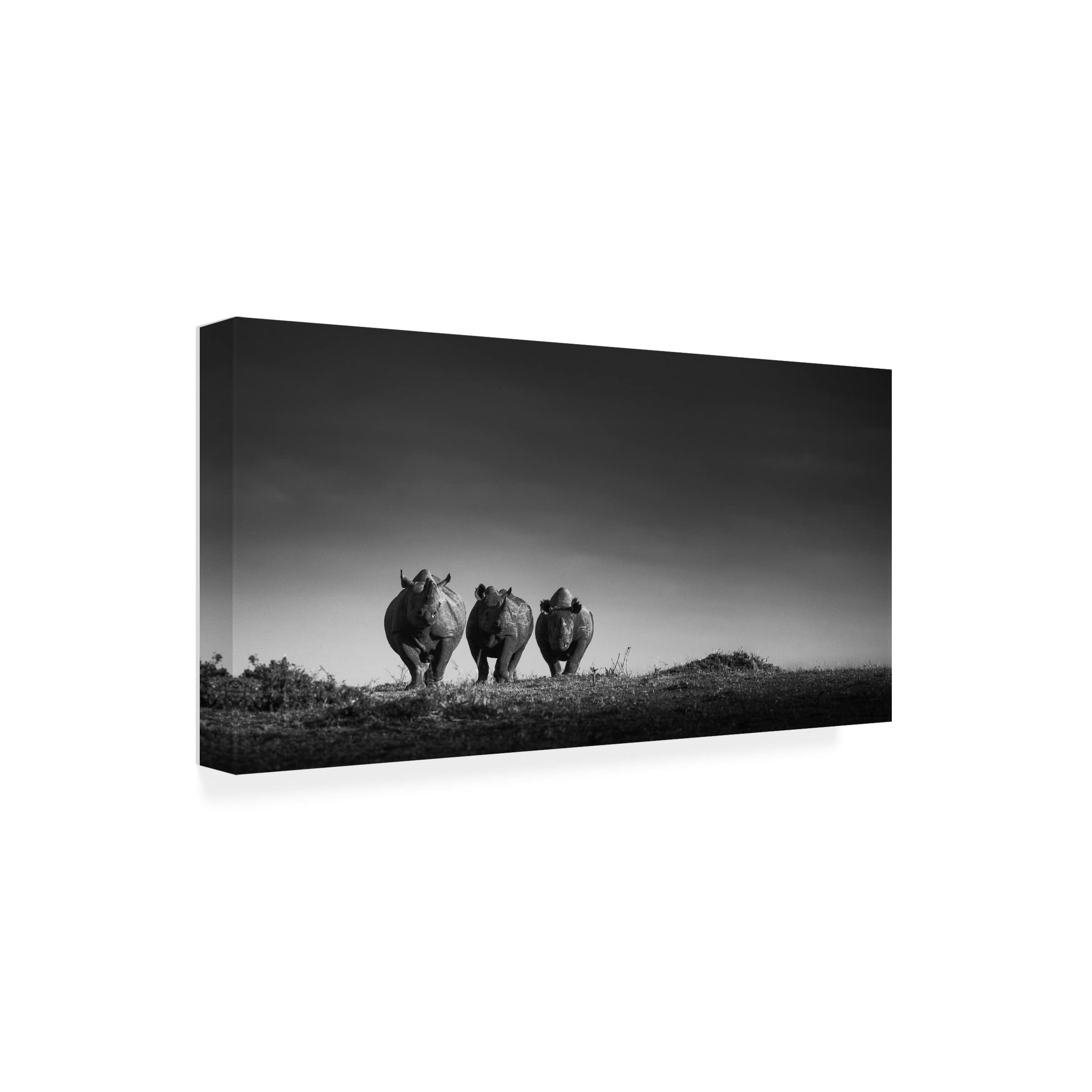 Trademark Fine Art 'Power' Canvas Wall Art by Mohammed Alnaser - Modern Home Decor for Living Room, Office & Bedroom