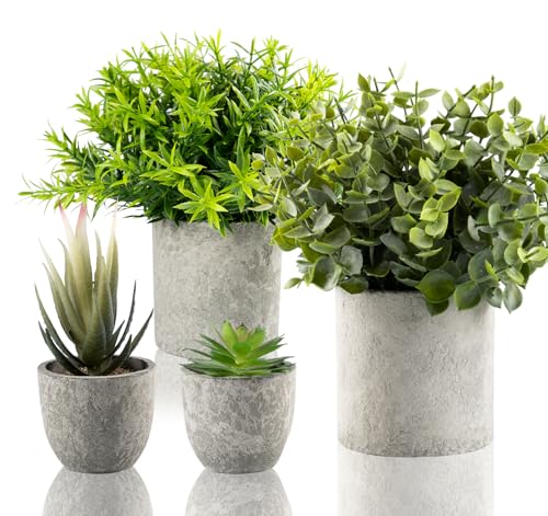 4-green and Green Succulents