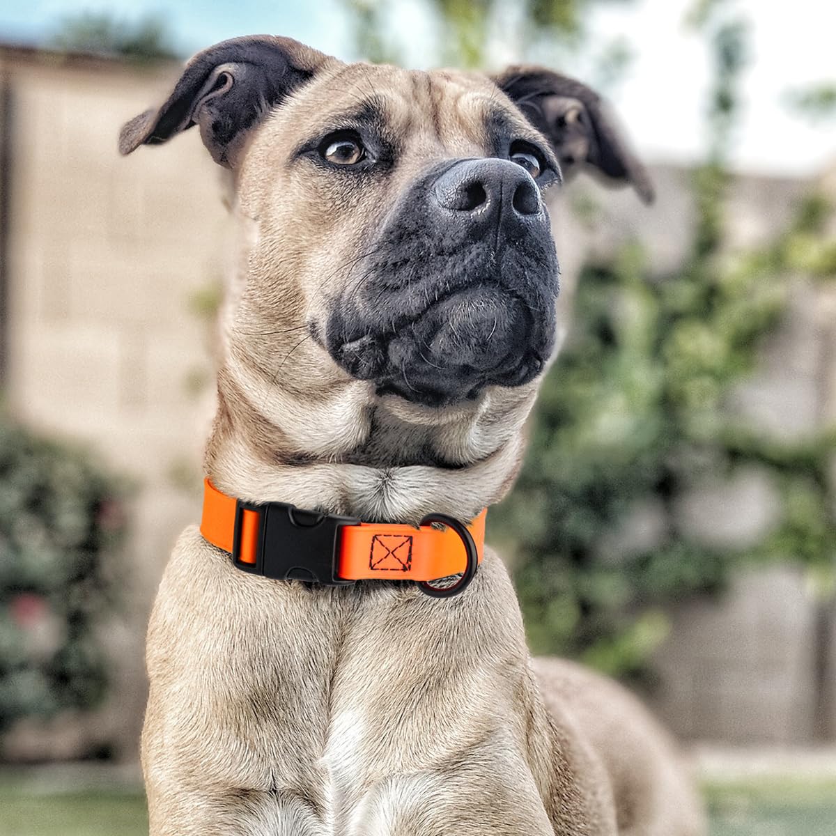 **Waterproof Biothane Dog Collar with Quick Release Buckle - Odor-Proof, Easy to Clean - Strong Coated Nylon Webbing - Fits Small, Medium & Large Dogs (Orange, 1
