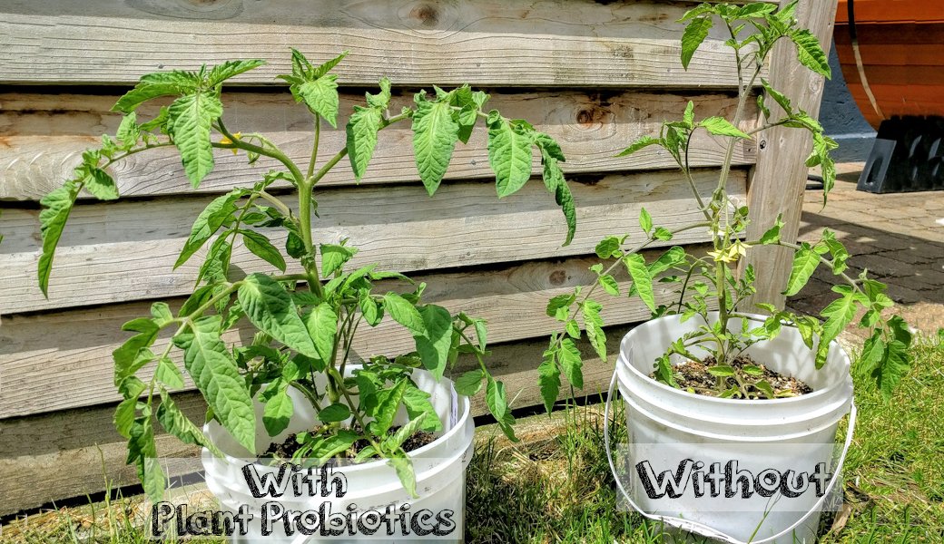 Organic Plant Probiotics for Healthy Growth - Nutrient-Rich Soil Booster in Convenient Shaker Jar - Perfect for Indoor Plants, Gardens, and Hydroponics