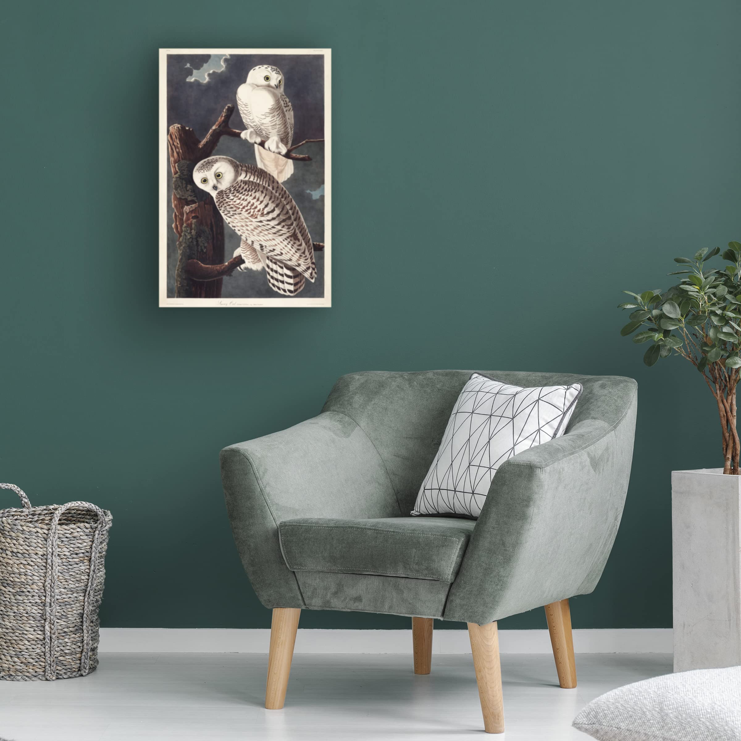John James Audubon 'Snowy Owl' Canvas Art Print - 12x19 Inches - Premium Wildlife Wall Decor for Living Room, Bedroom & Office