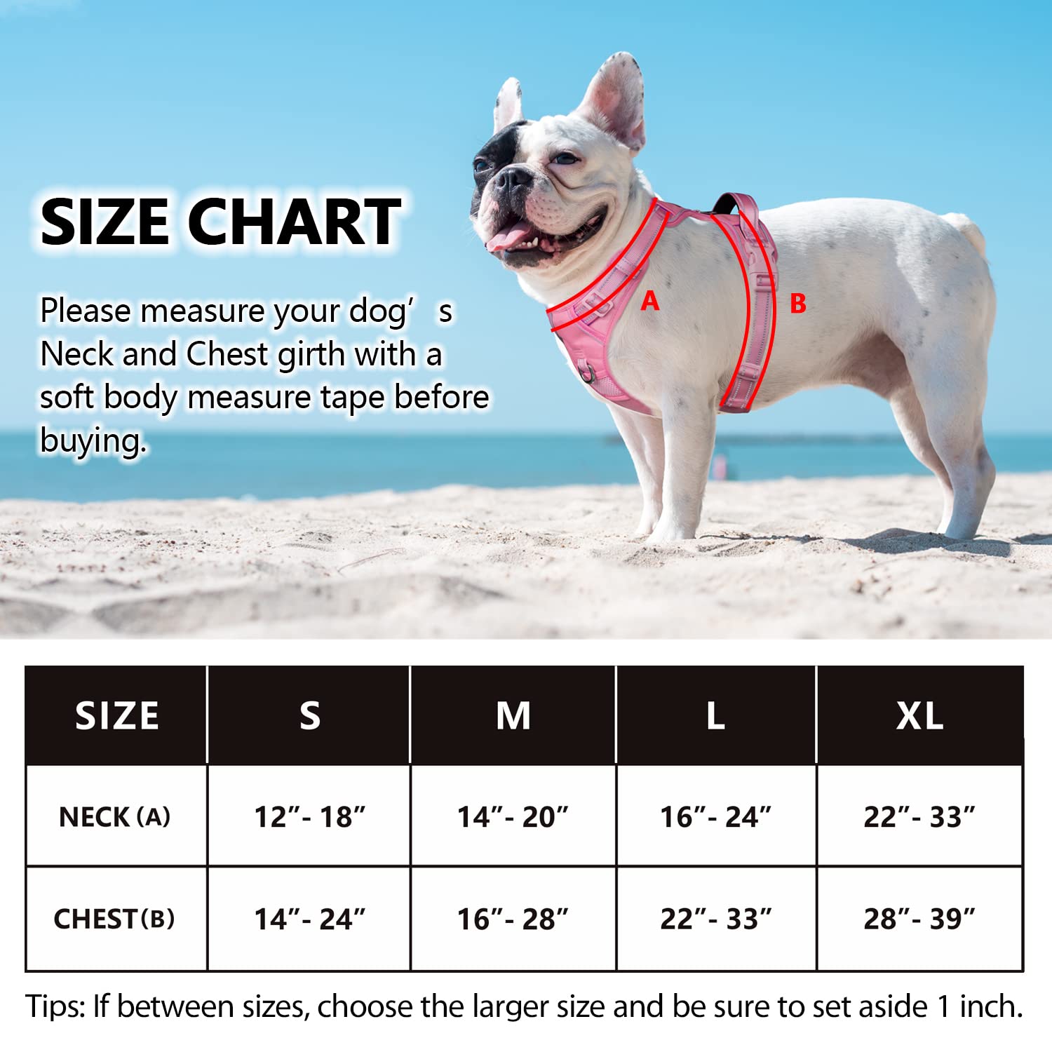 PoyPet No Pull Dog Harness - Reflective Adjustable Pet Vest with Padded Handle for Small Medium Large Dogs | Light Pink Matching Trim | Size L | Perfect for Walking, Training & Nighttime Safety