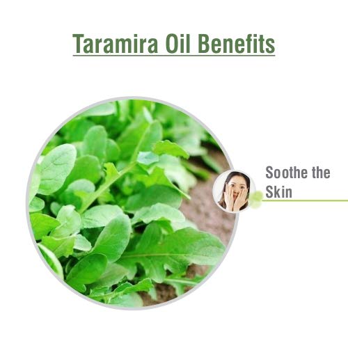 100% Pure & Natural Taramira Oil (Eruca Sativa) - Undiluted, Unrefined, Organic Essential Oil for Aromatherapy, Massage & Skin Care - 2000ml/67.6fl oz Bulk Therapeutic Grade Oil - Perfect for Diffusers, DIY Beauty Products & Holistic Wellness