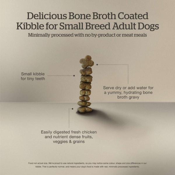 Now Fresh Good Gravy Salmon Recipe Small Breed Adult Dry Dog Food - Premium Grain-Free Salmon Dog Food for Small Dogs, High Protein & Omega-3 for Healthy Skin & Coat - Perfect for Indoor & Active Small Breed Adult Dogs