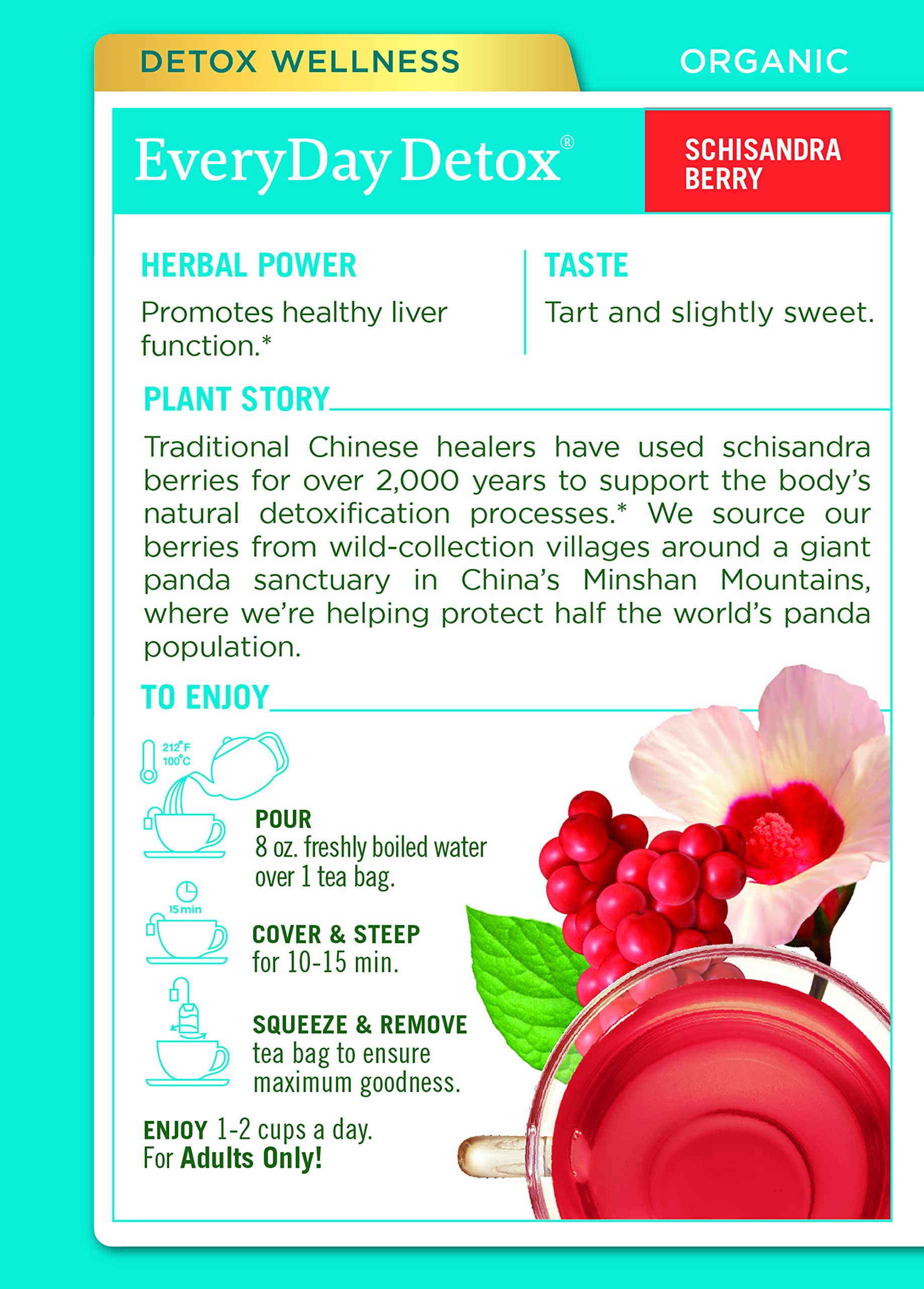Organic Schisandra Berry Herbal Tea for Liver Detox & Healthy Function | Traditional Medicinals | 16 Tea Bags Pack | Supports Digestion & Cleansing | Perfect for Daily Wellness & Detox Routines