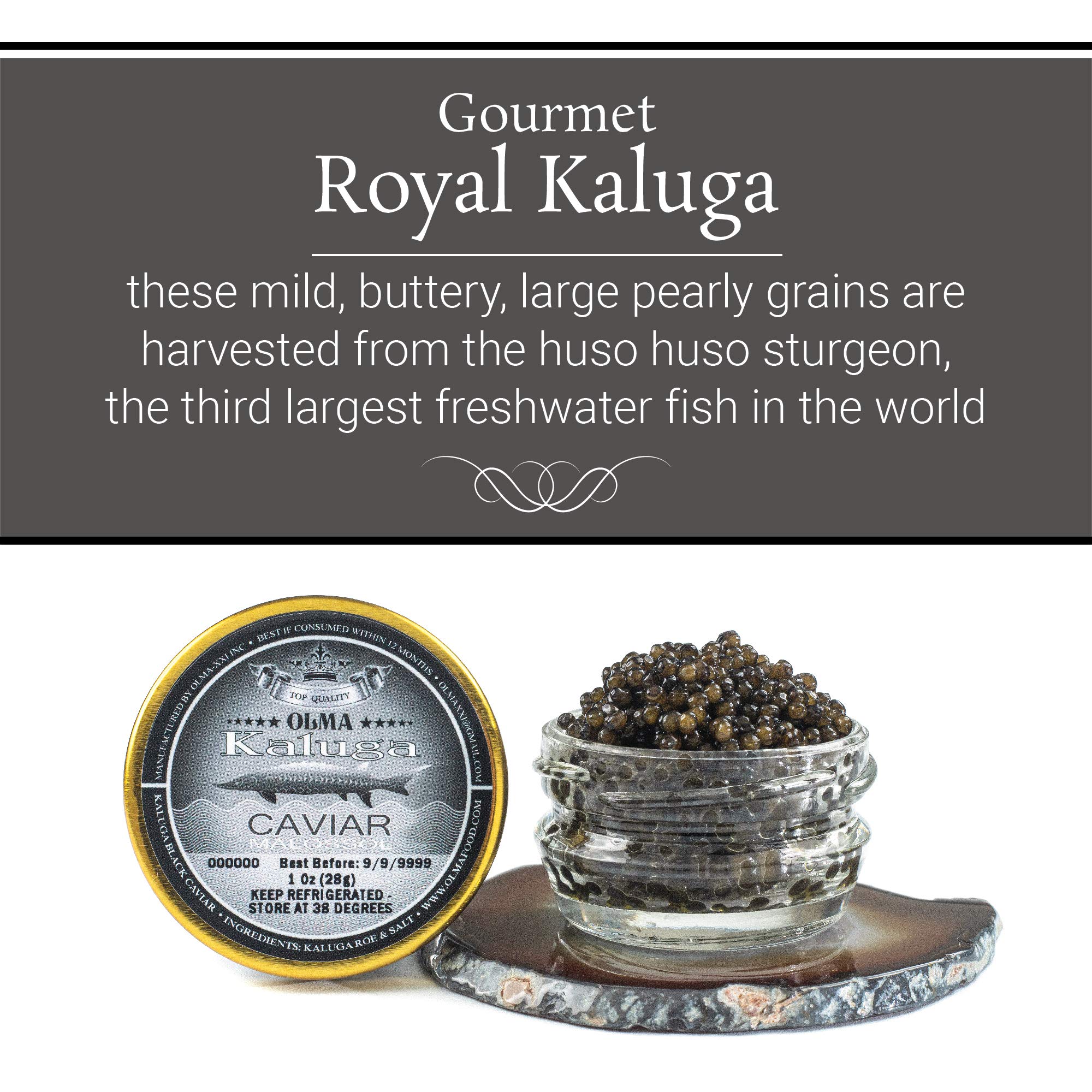 Premium OLMA Kaluga Sturgeon Black Caviar - Large Pearly Grains, Smooth Flavor, Superior Grade - 1 oz (28g) | Fast Overnight Shipping | Gourmet Gift, Fine Dining & Special Occasions