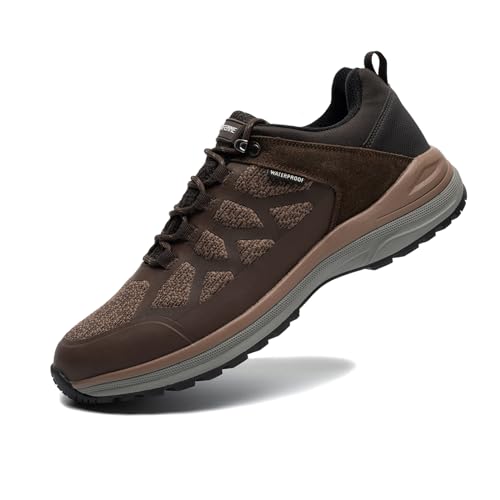 Dsx09m Brown