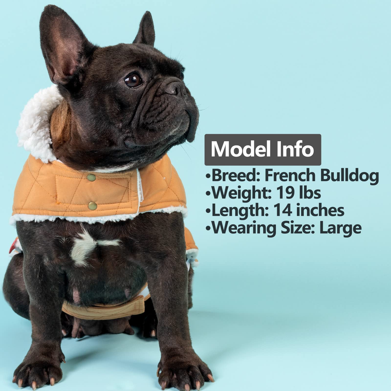 KYEESE Winter Dog Jacket - Windproof Padded Sherpa Dog Vest with Leash Hole for Small Dogs | Cold Weather Coat for Chihuahua, Pomeranian, Yorkie | Outdoor Walking & Winter Adventures (Yellow)