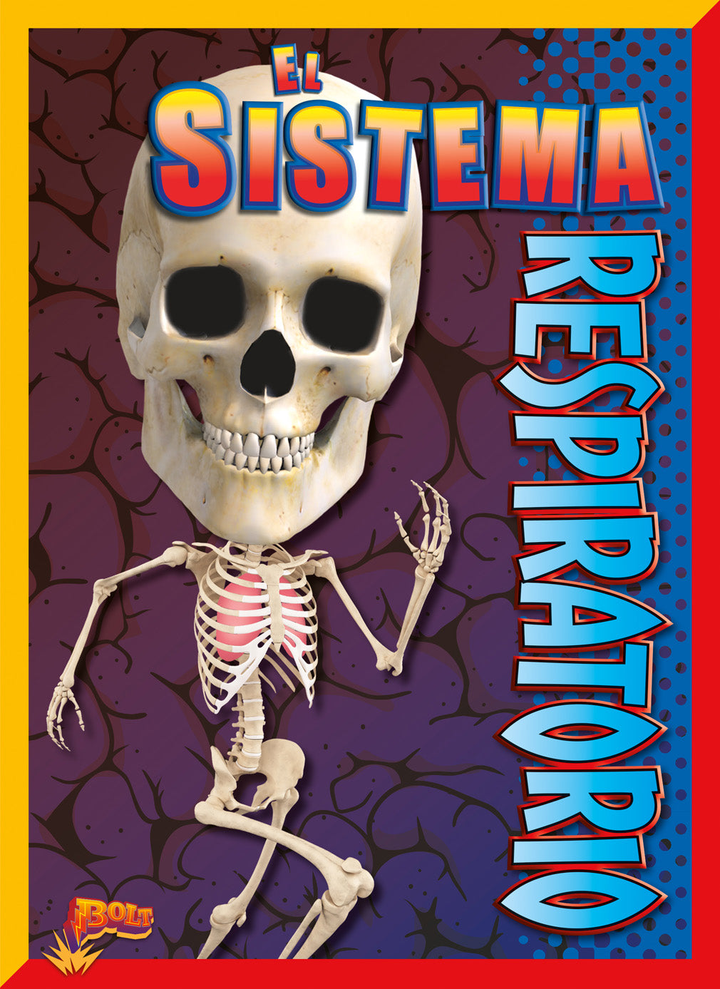 Human Respiratory System Model - Detailed Anatomy for Medical Students & Educators | Perfect for Classroom & Lab Study