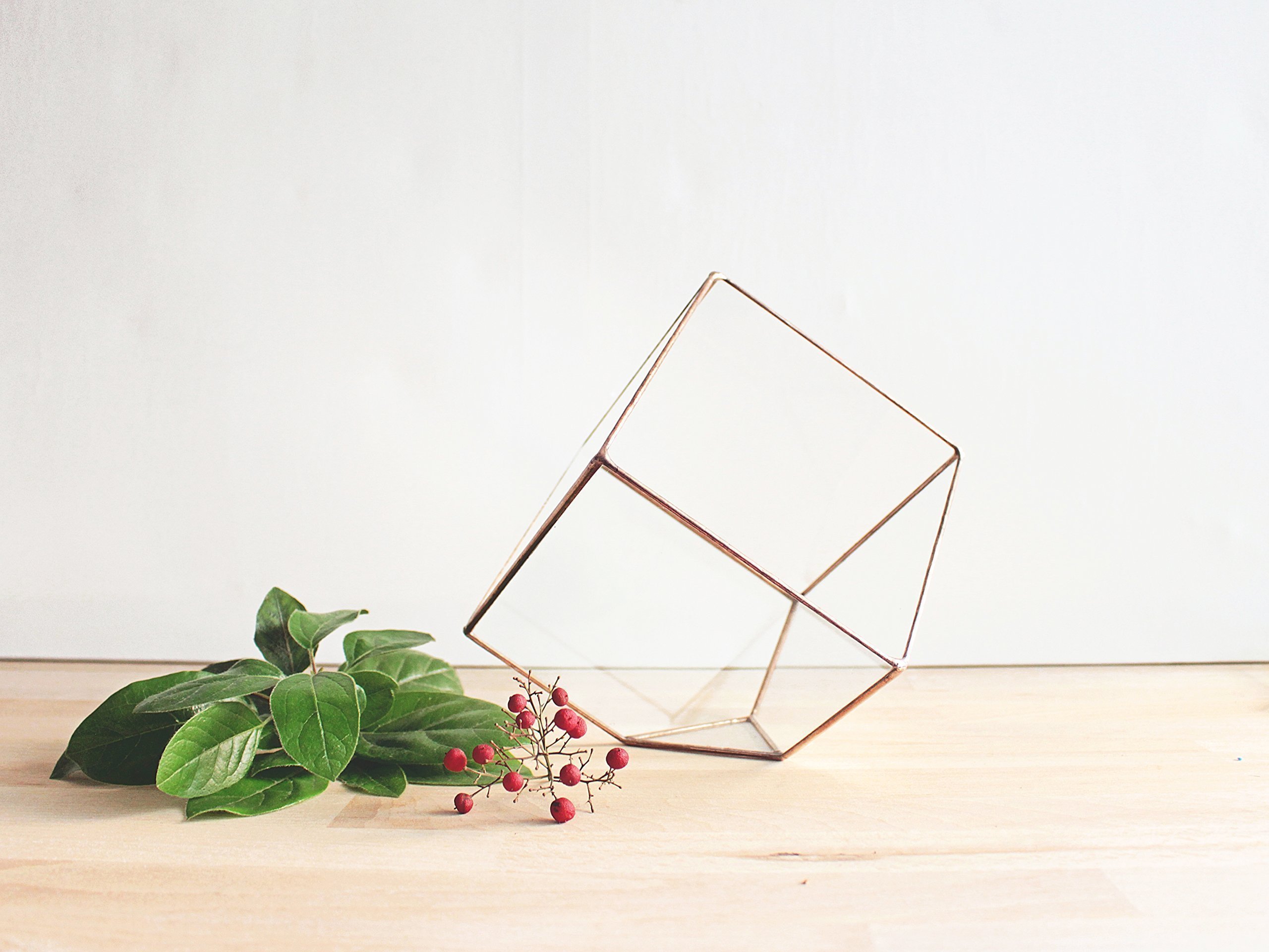 Waen Geometric Glass Terrarium - Medium Cube Planter for Succulents & Air Plants (Copper, Silver, Black) | Modern Home Decor, Office Desk Display & Wedding Centerpiece